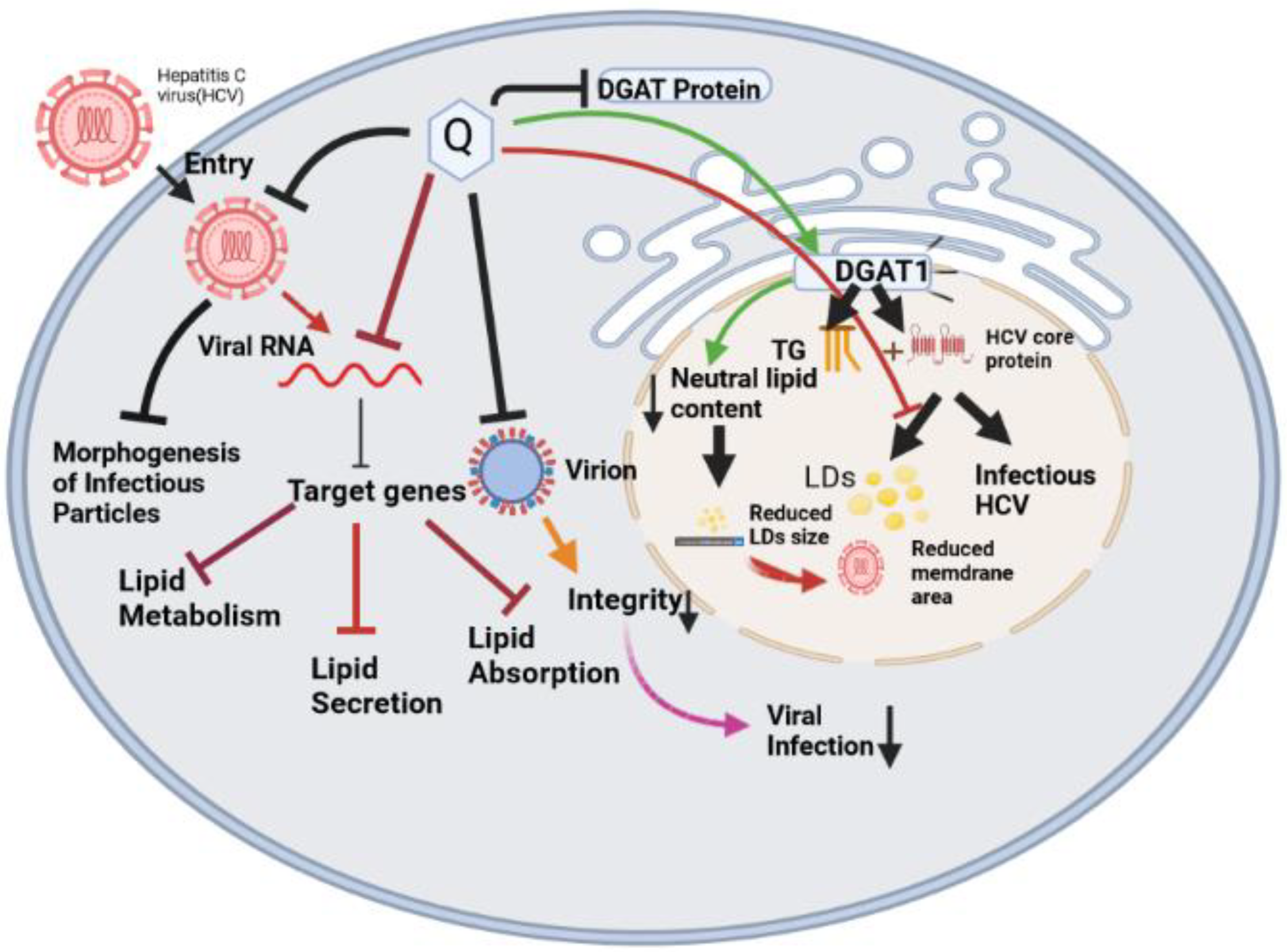 Molecules 28 00938 g003