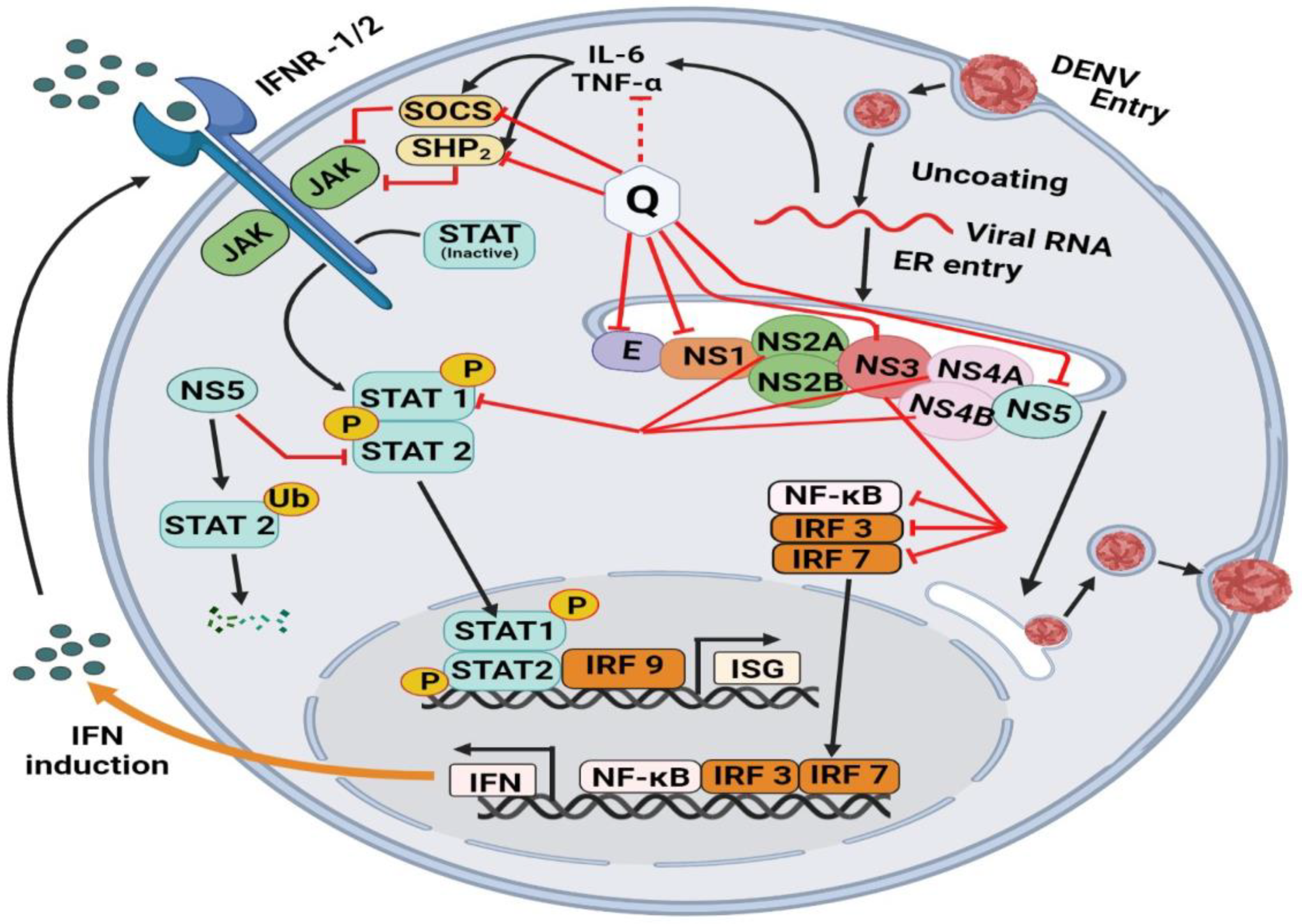 Molecules 28 00938 g004