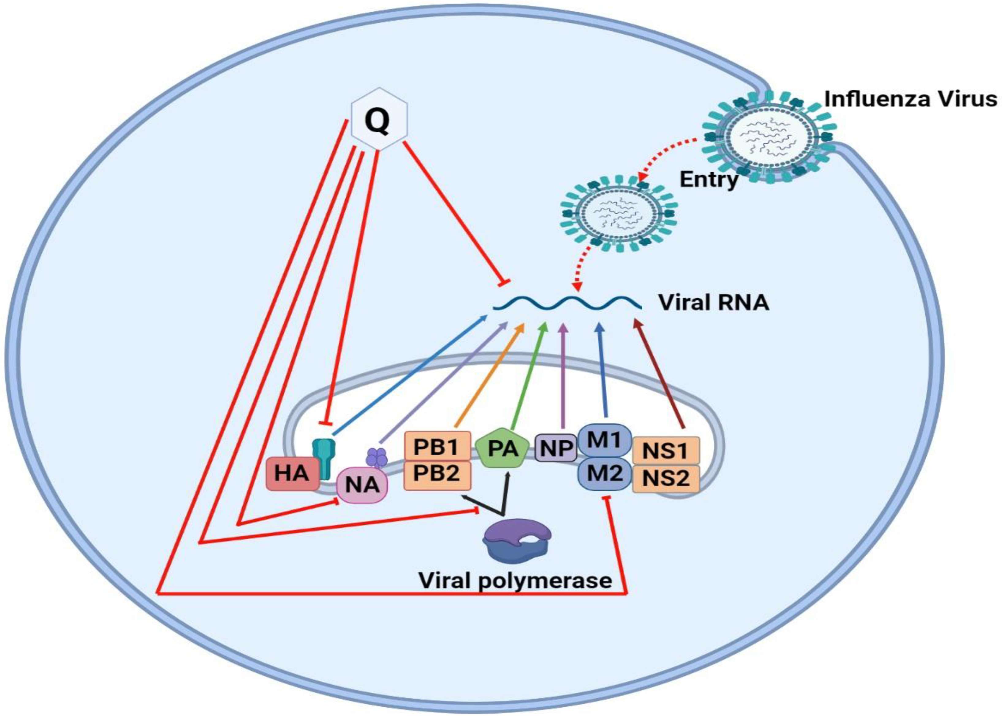 Molecules 28 00938 g005