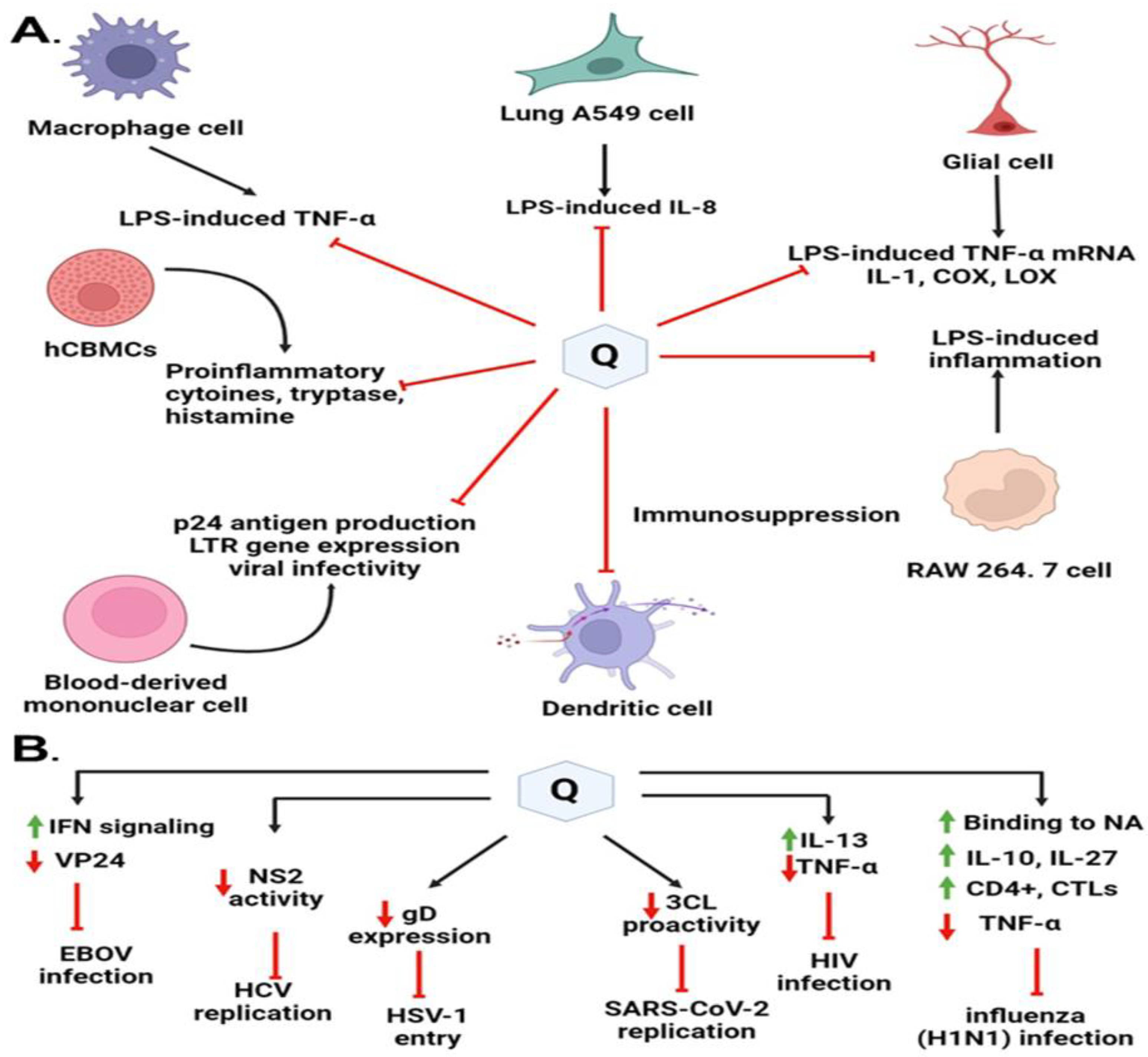 Molecules 28 00938 g007