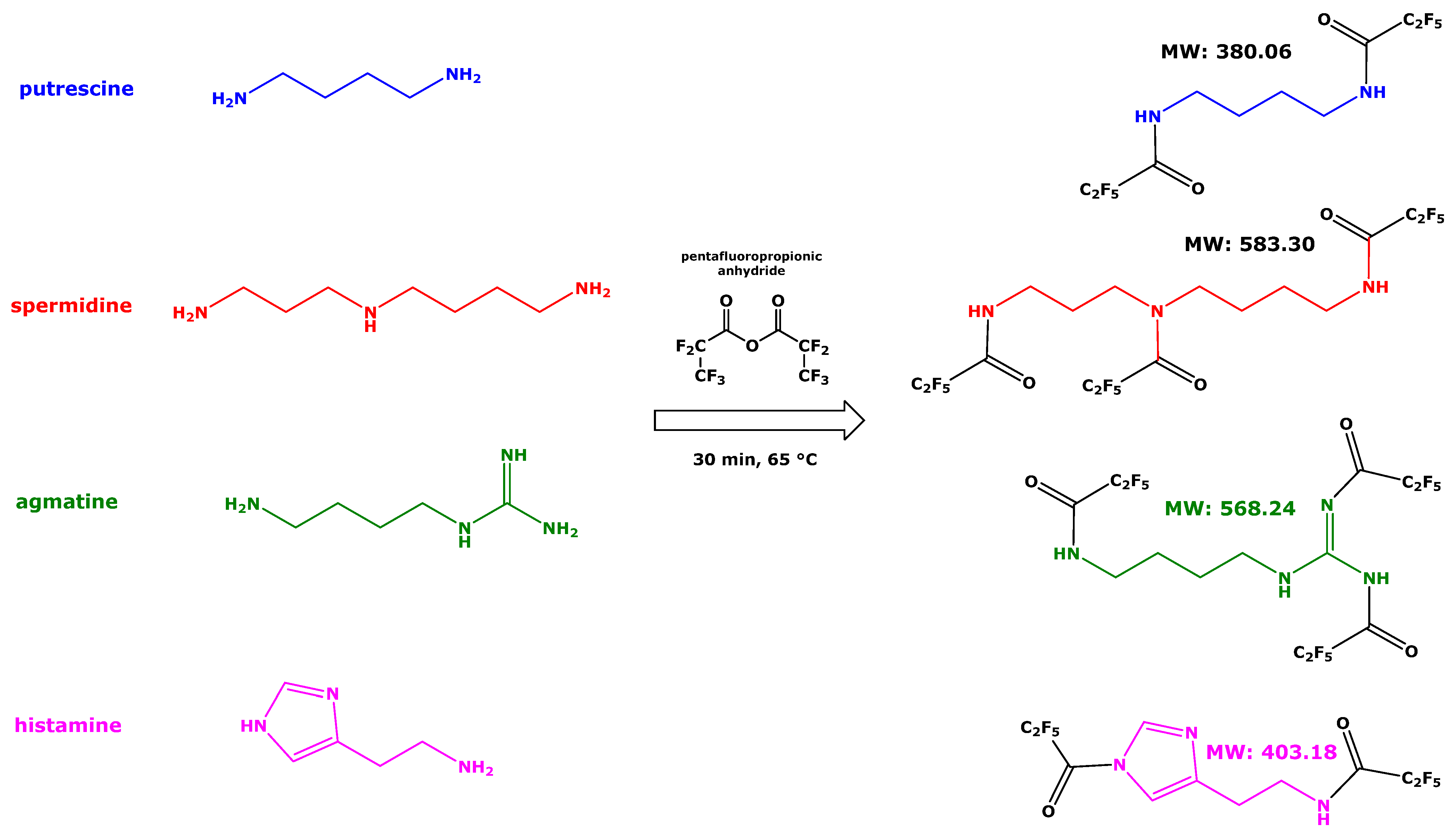 Molecules 28 00939 sch001