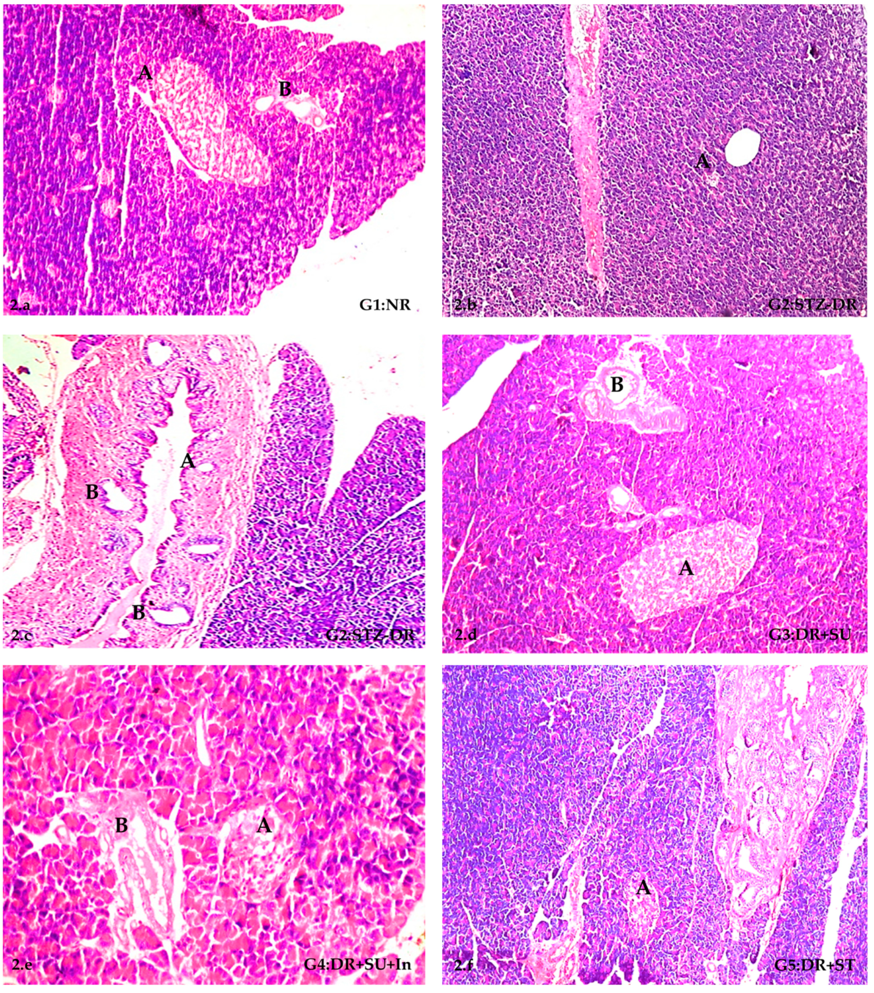 Molecules 28 00940 g002a