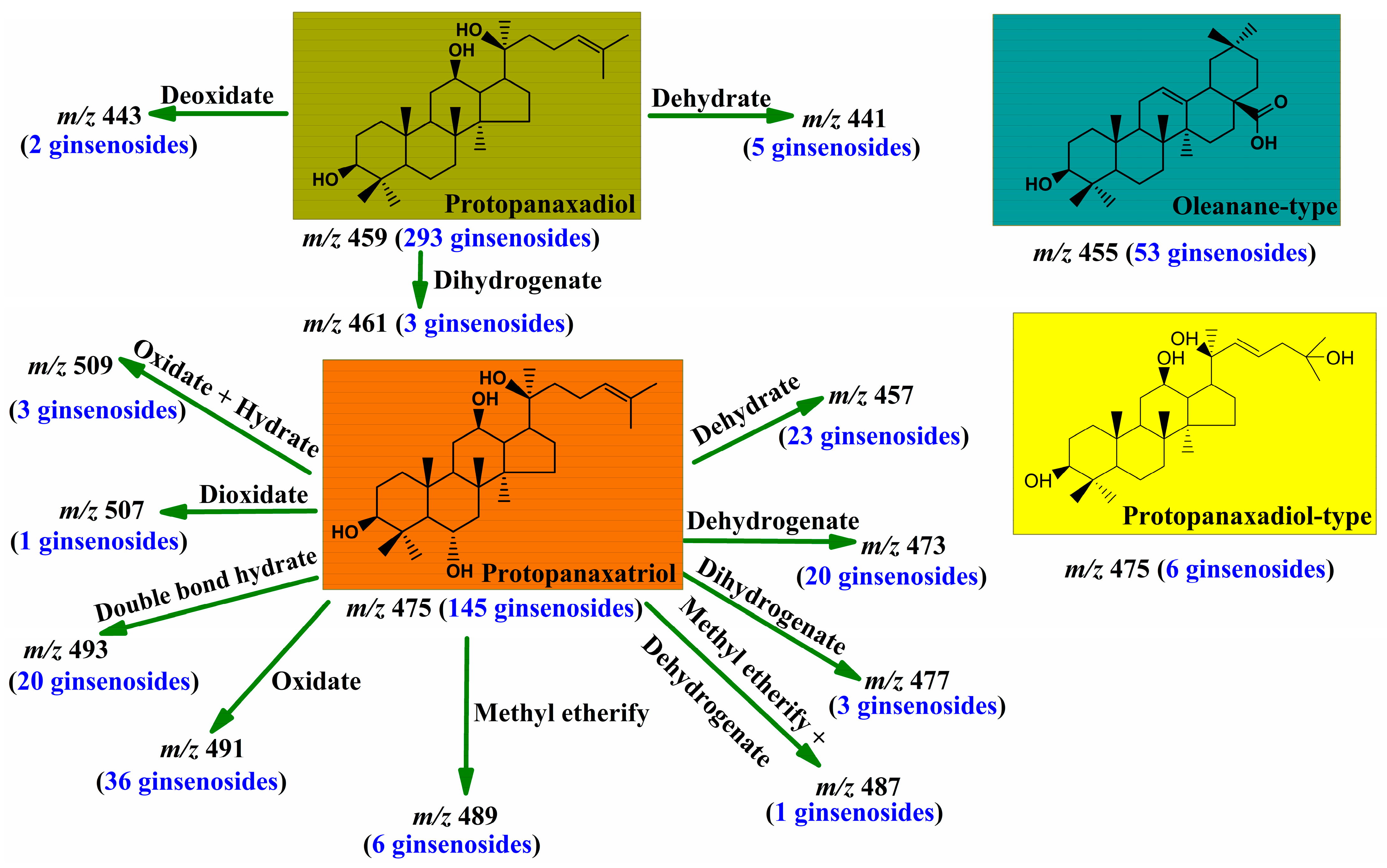 Molecules 28 00941 g002