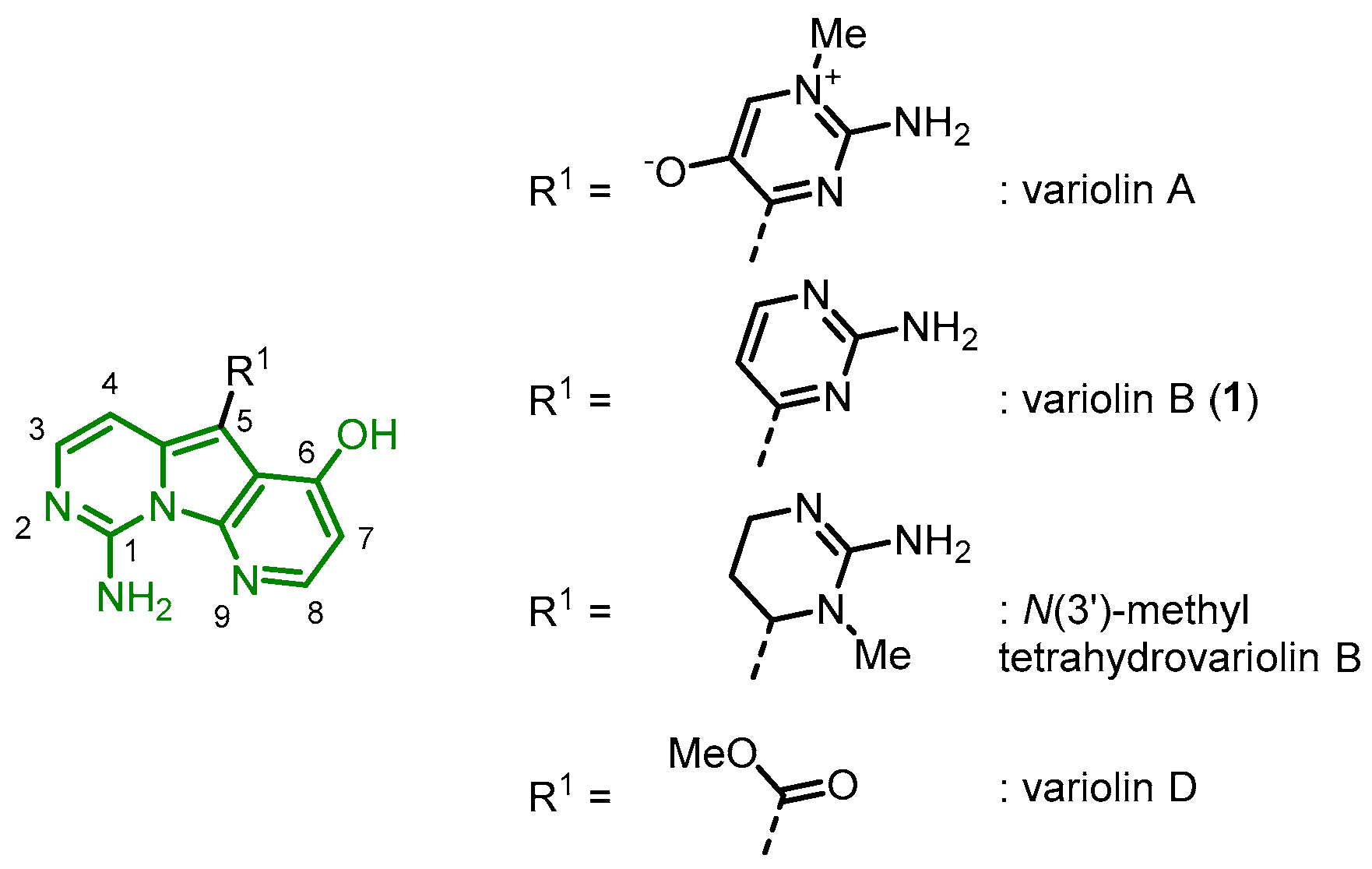 Molecules 28 00947 g001