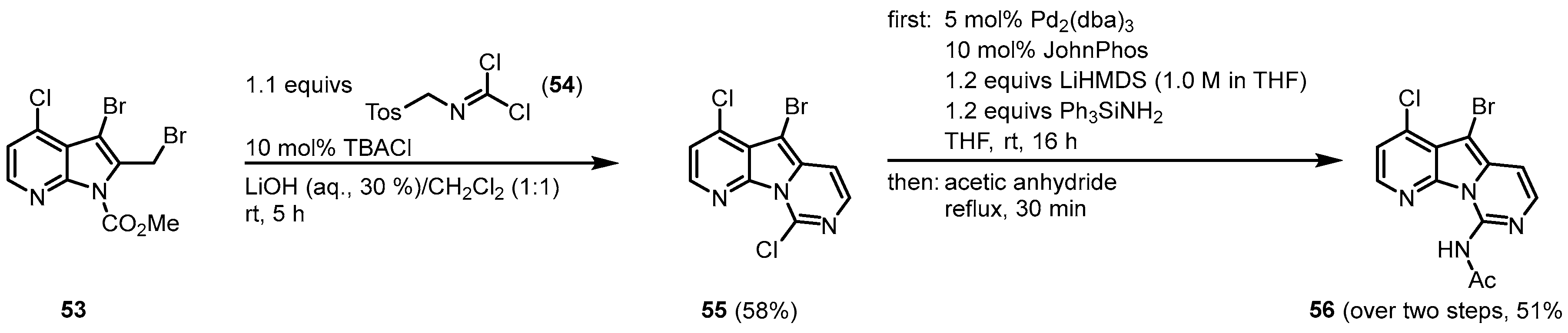 Molecules 28 00947 g011