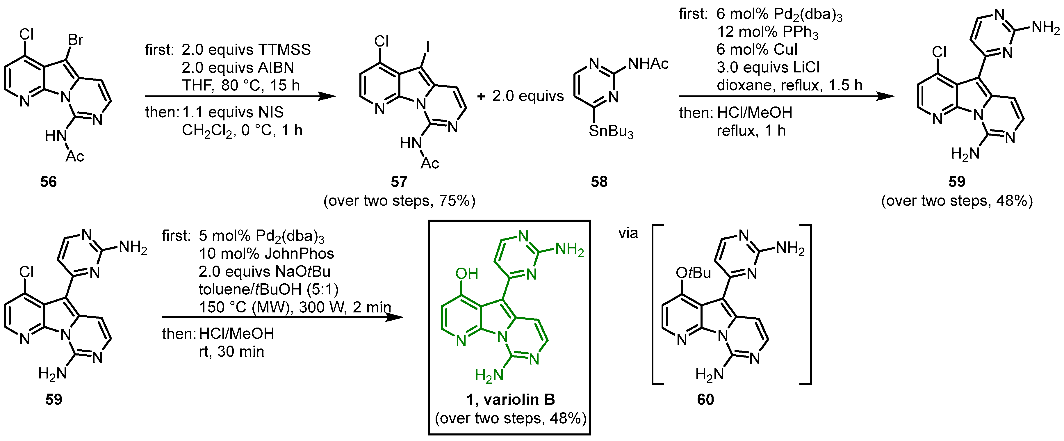 Molecules 28 00947 g012