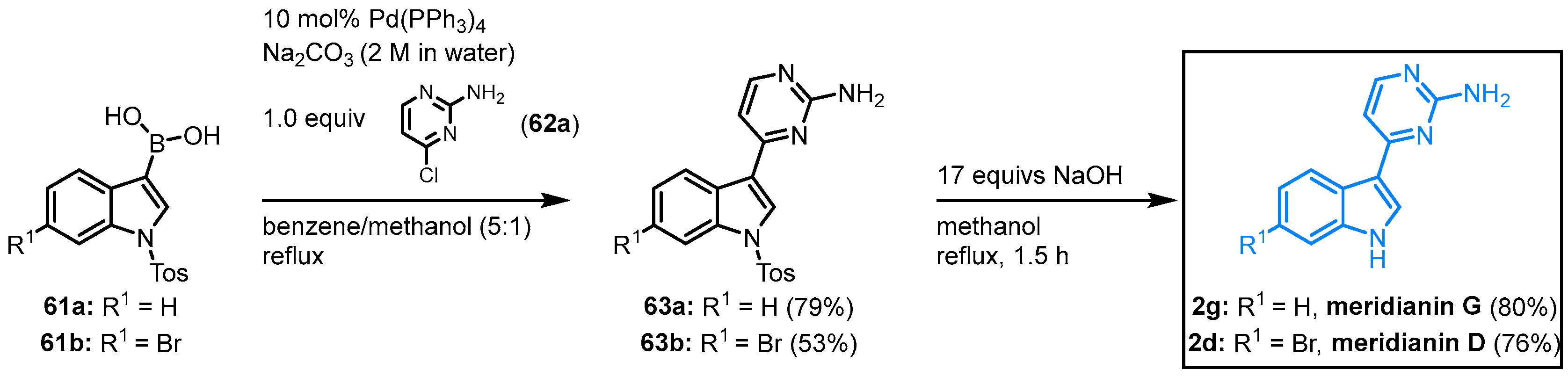 Molecules 28 00947 g013