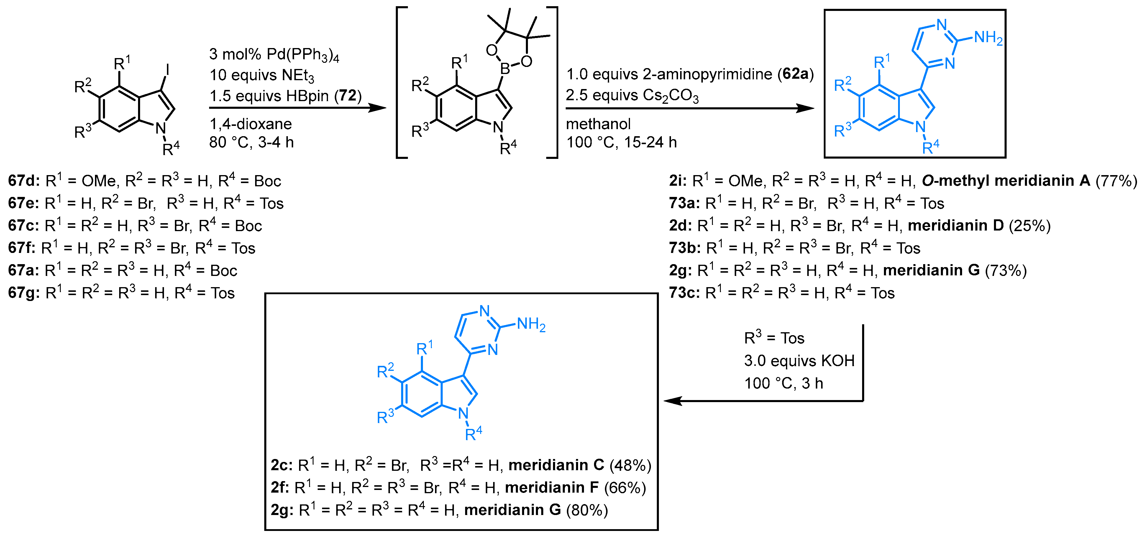Molecules 28 00947 g017
