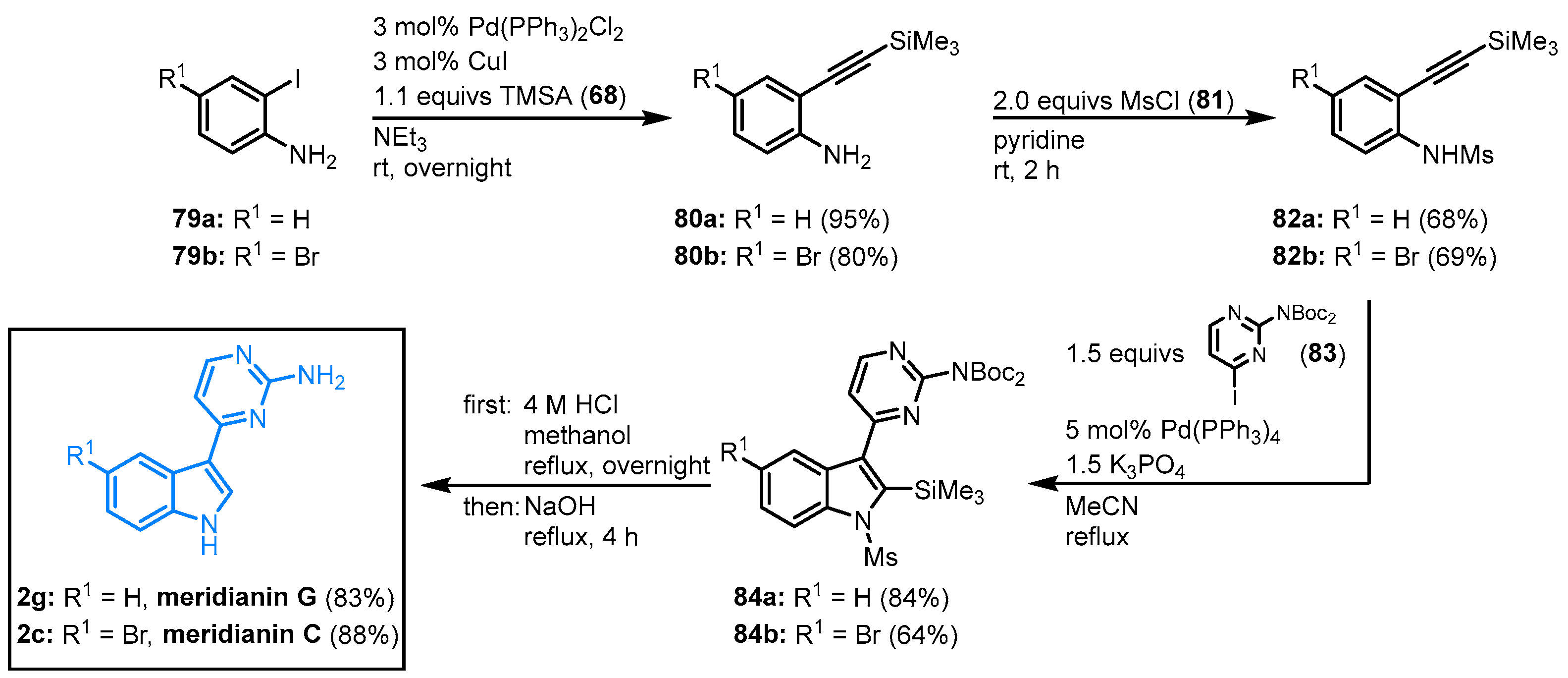 Molecules 28 00947 g020