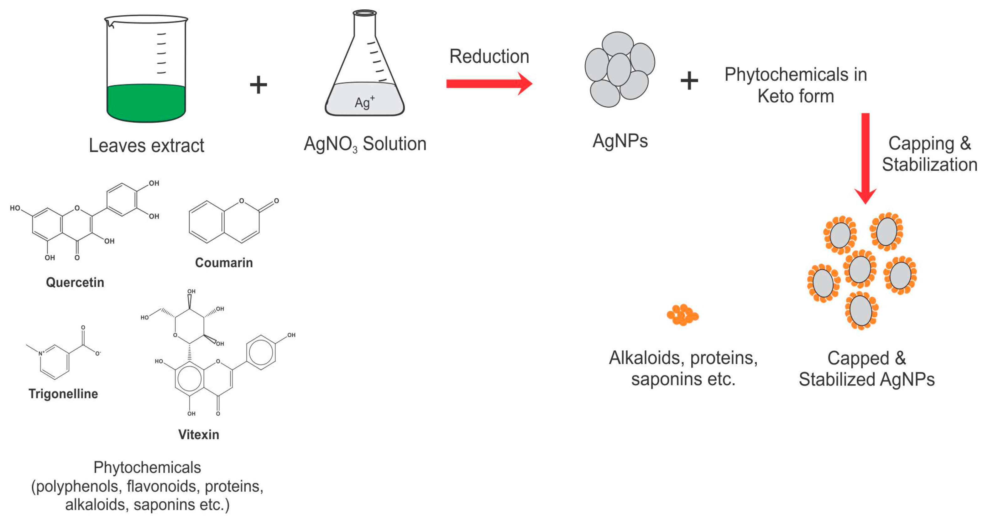 Molecules 28 00951 g001 Molecules 28 00951 g001