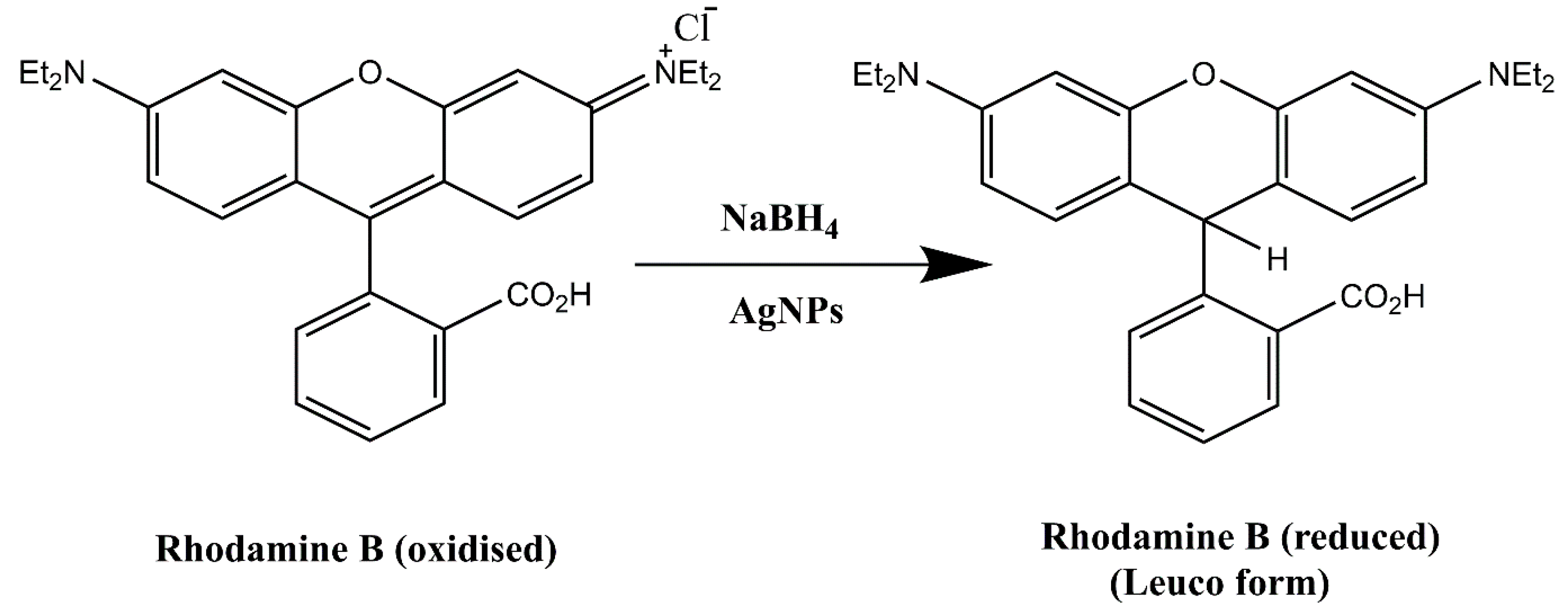Molecules 28 00951 g013 Molecules 28 00951 g013