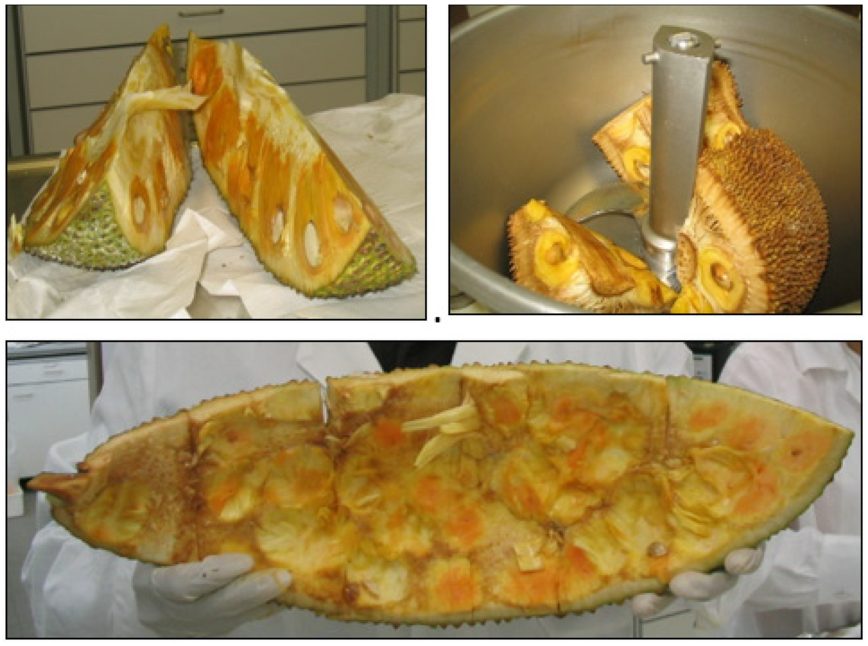 Molecules 28 00954 g002