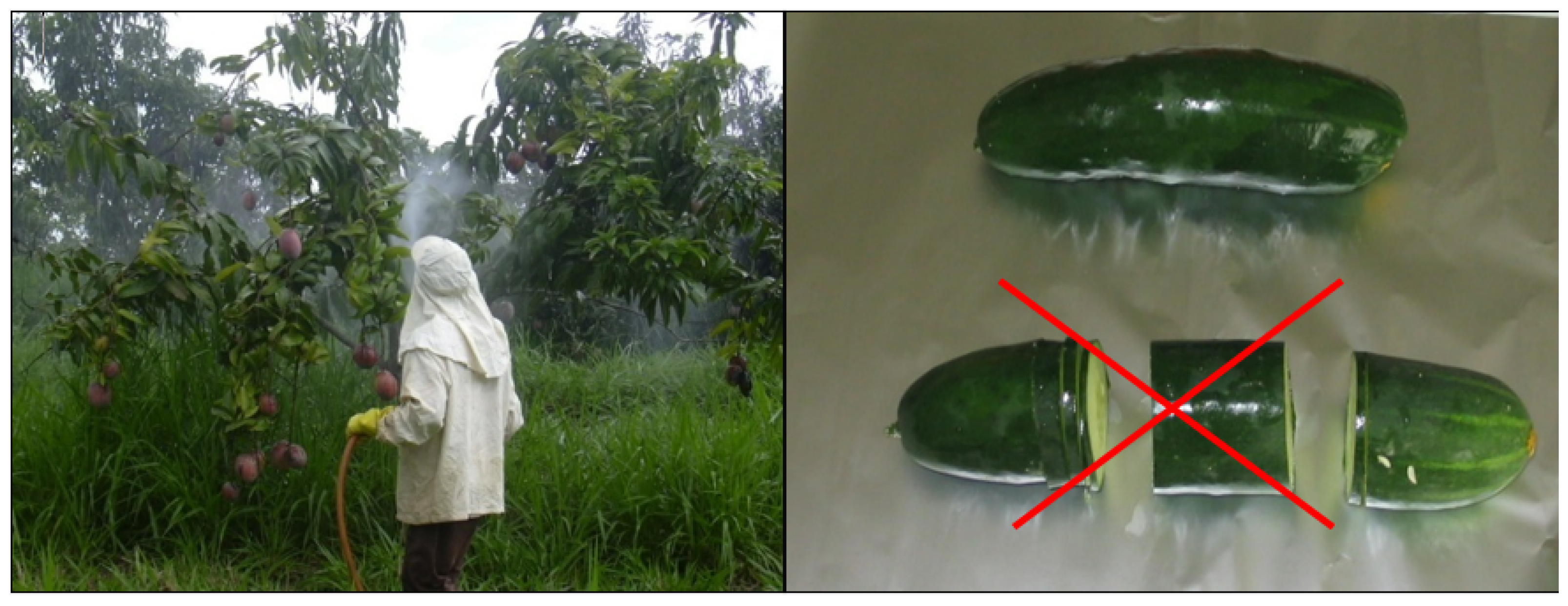 Molecules 28 00954 g003