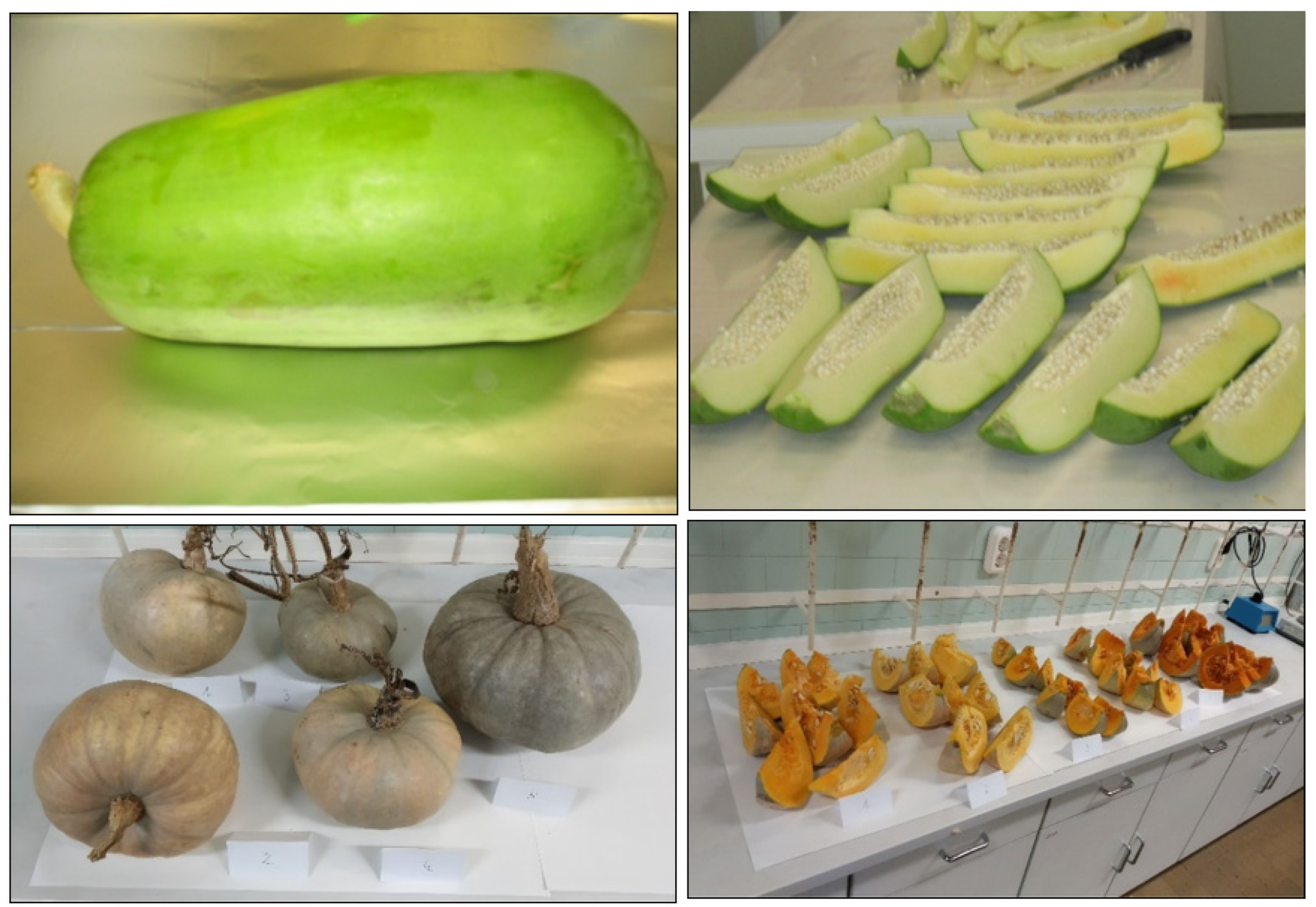 Molecules 28 00954 g004