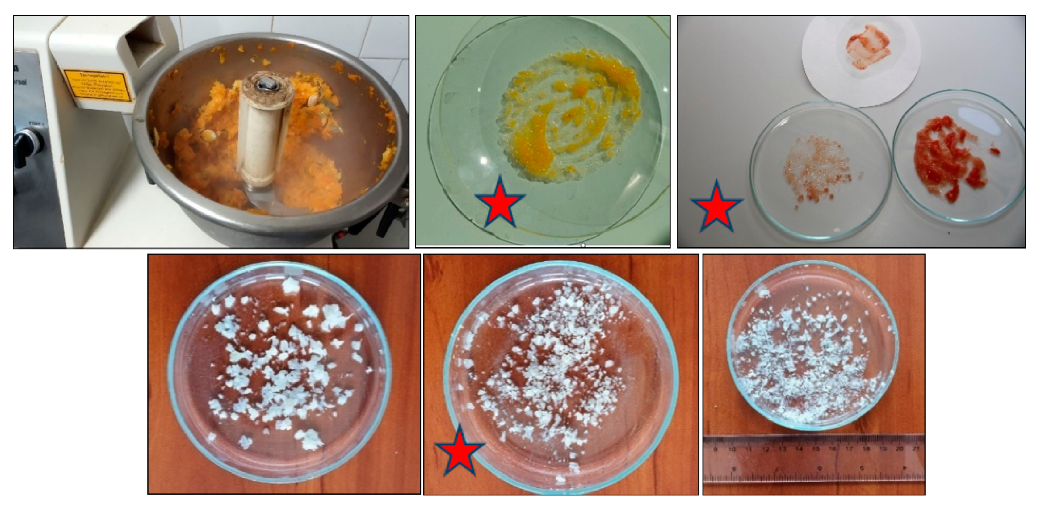 Molecules 28 00954 g005