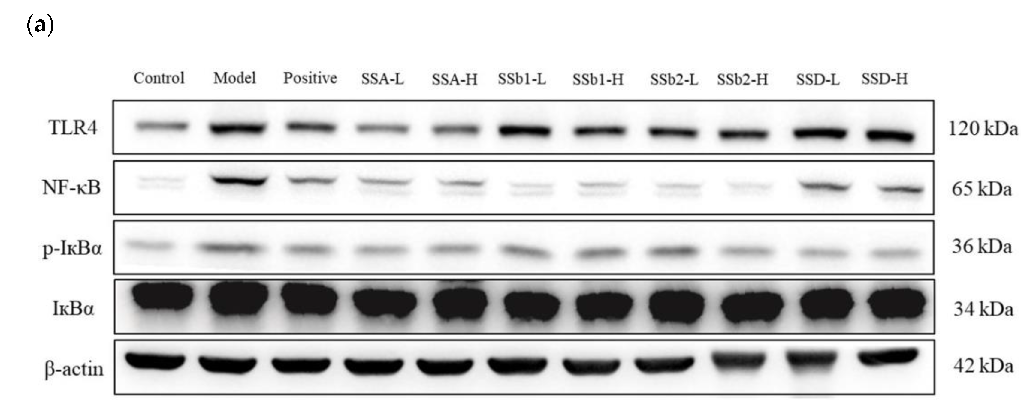 Molecules 28 00967 g008a Molecules 28 00967 g008a