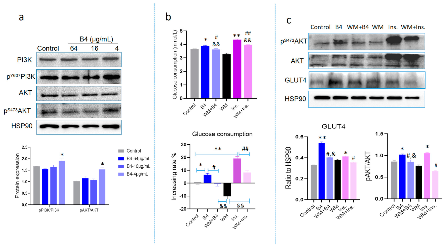 Molecules 28 00968 g006