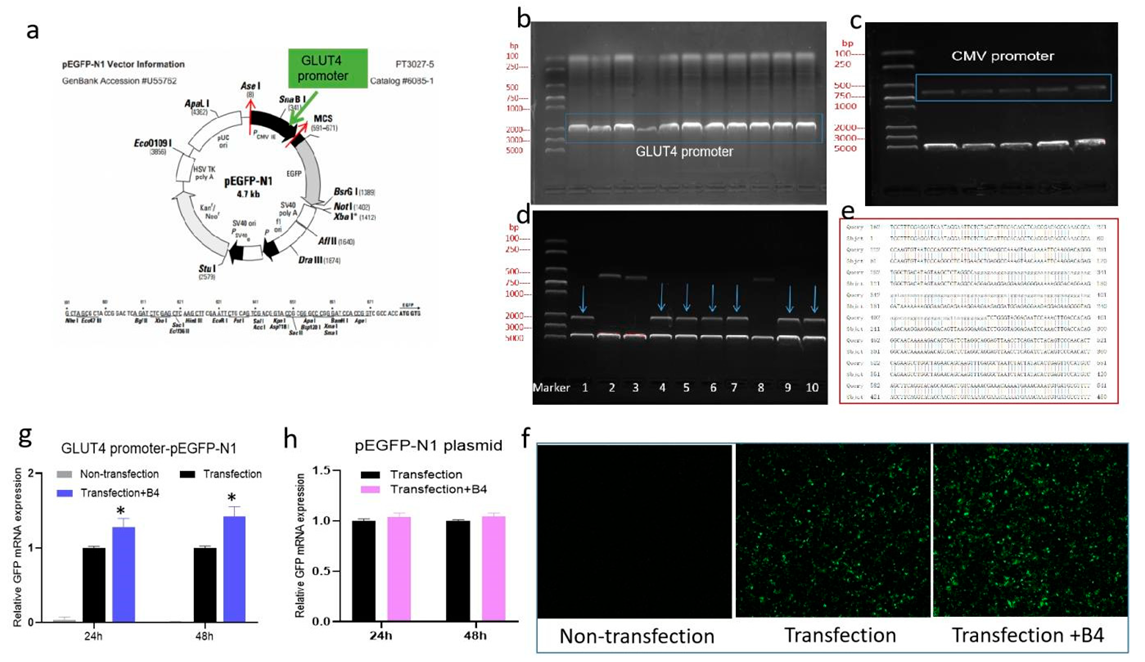 Molecules 28 00968 g007