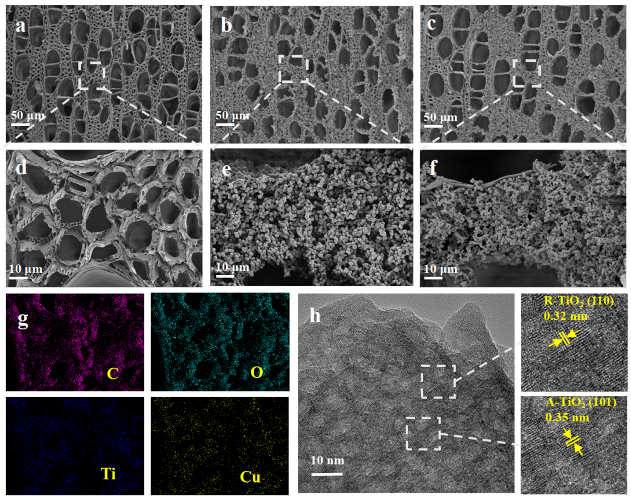 Molecules 28 00972 g001 Molecules 28 00972 g001