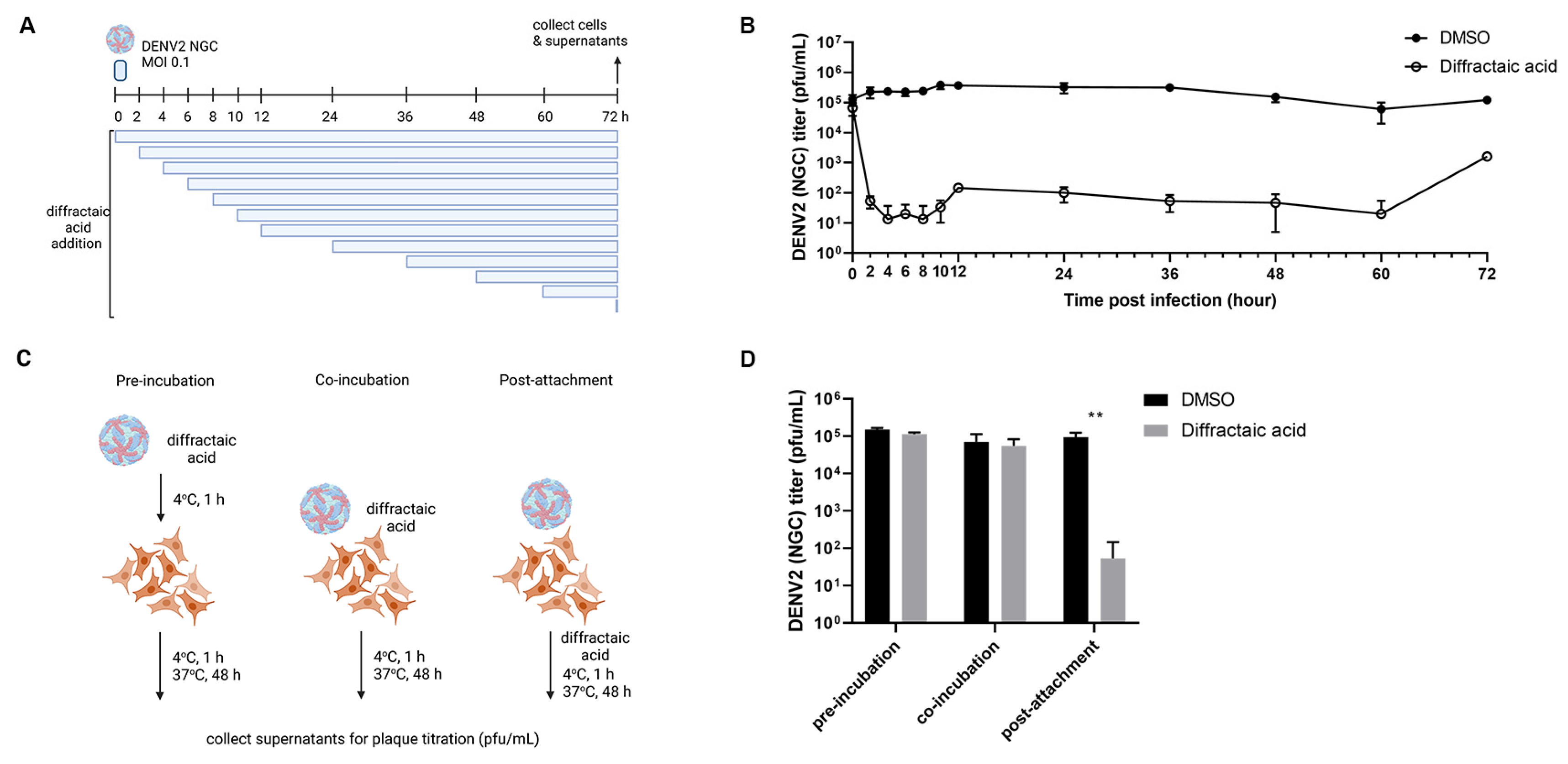 Molecules 28 00974 g002
