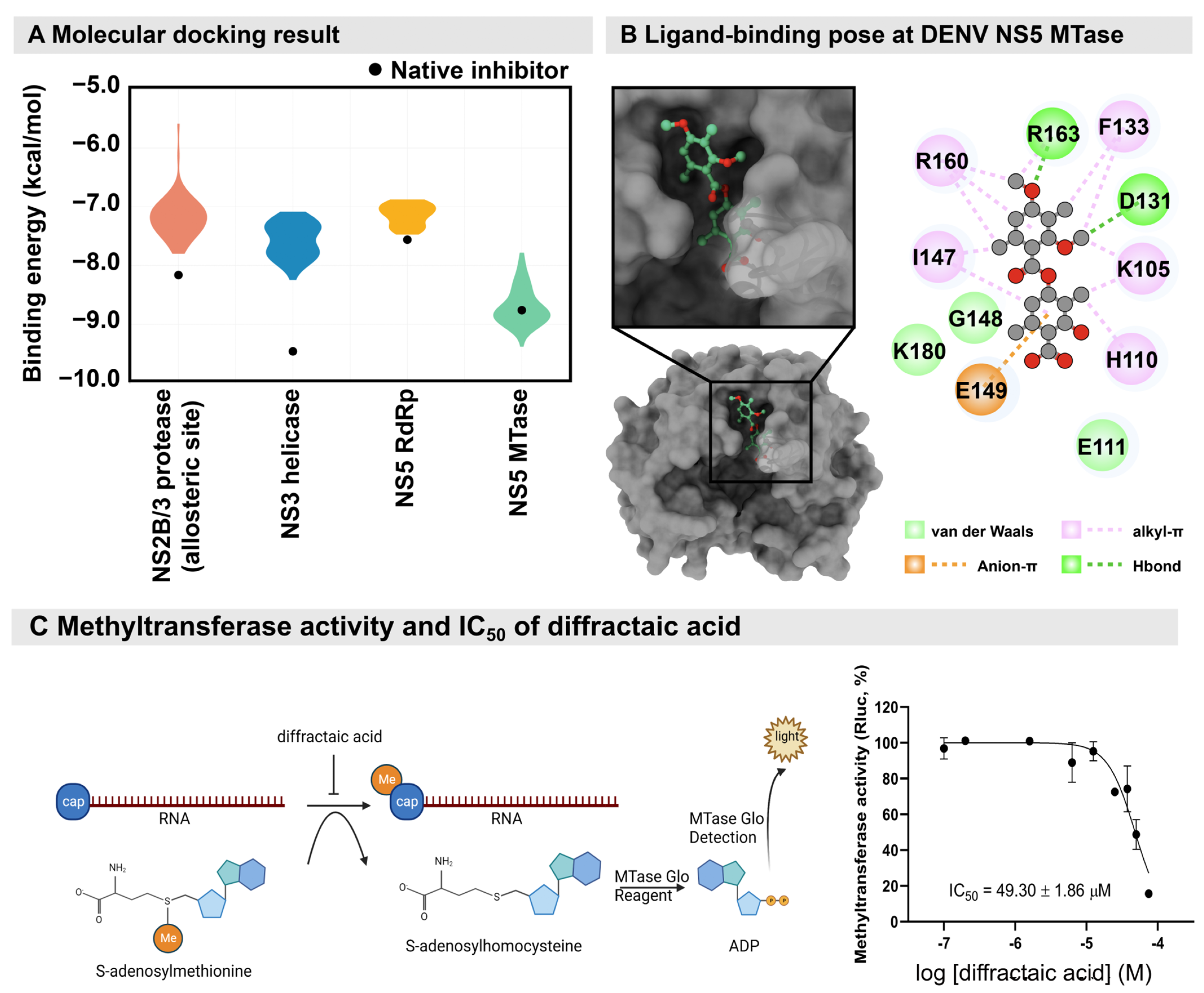 Molecules 28 00974 g004