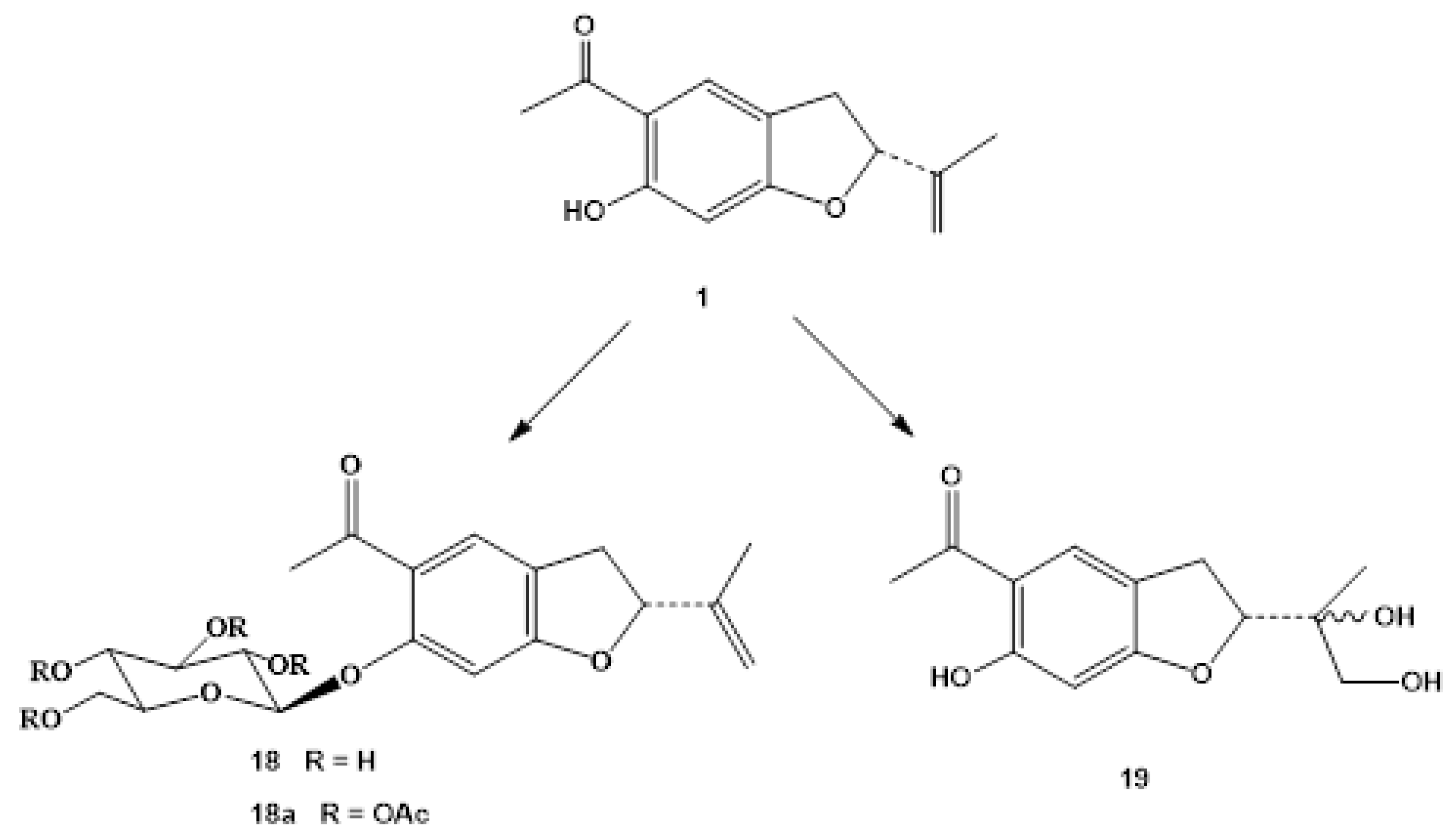 Molecules 28 00975 g003