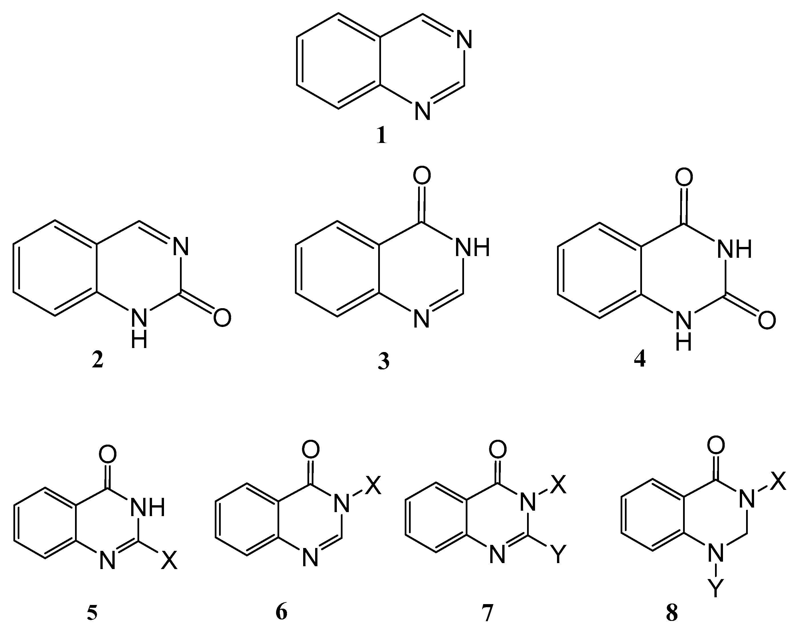 Molecules 28 00978 g001