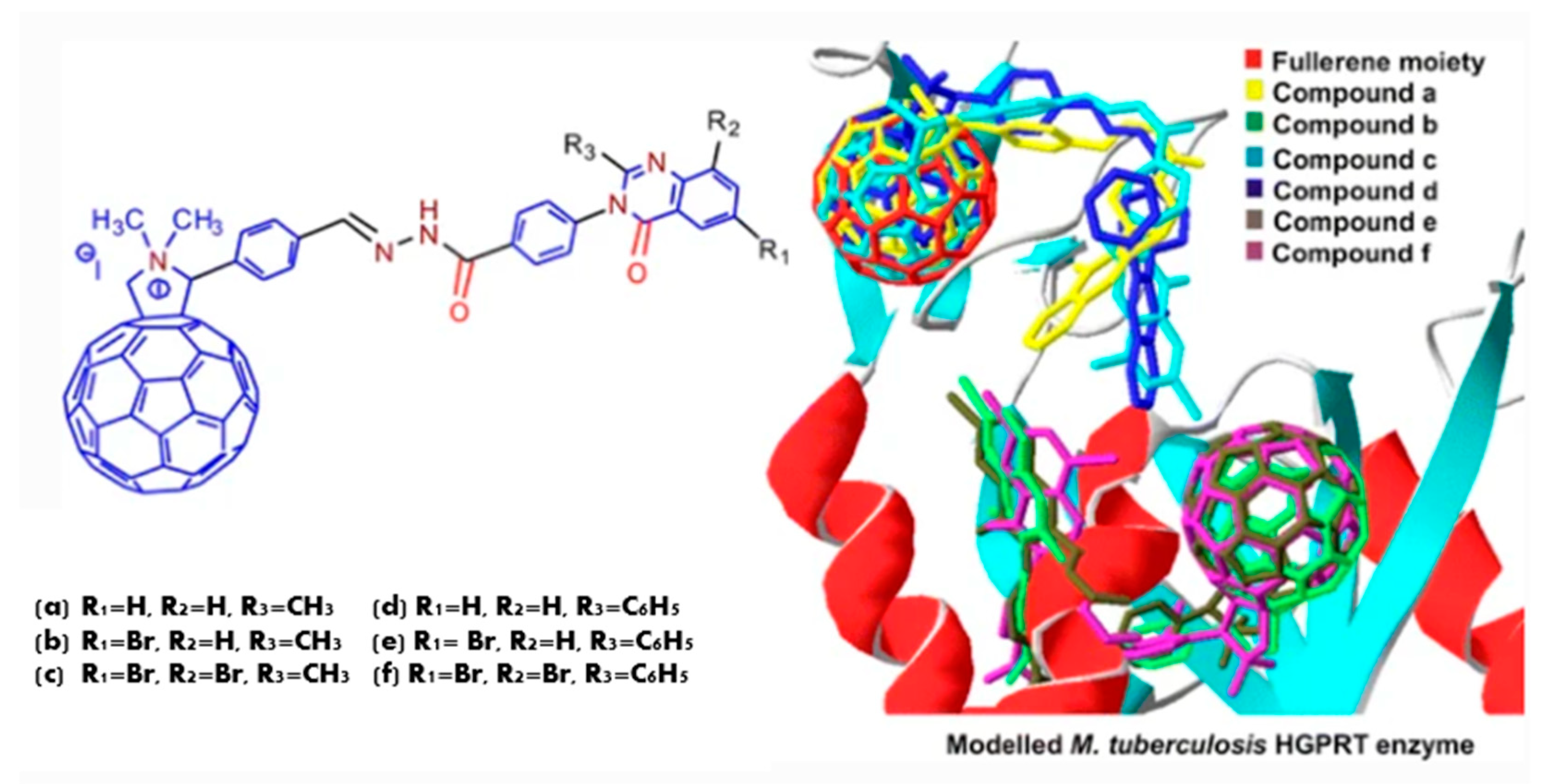 Molecules 28 00978 g002