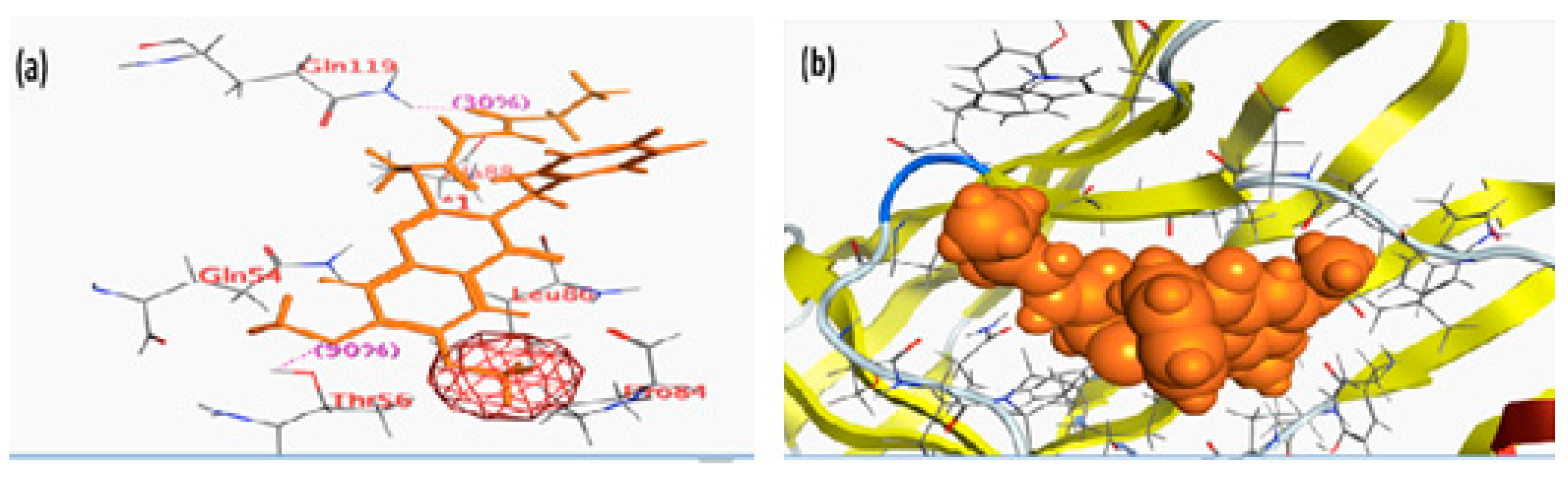 Molecules 28 00978 g003