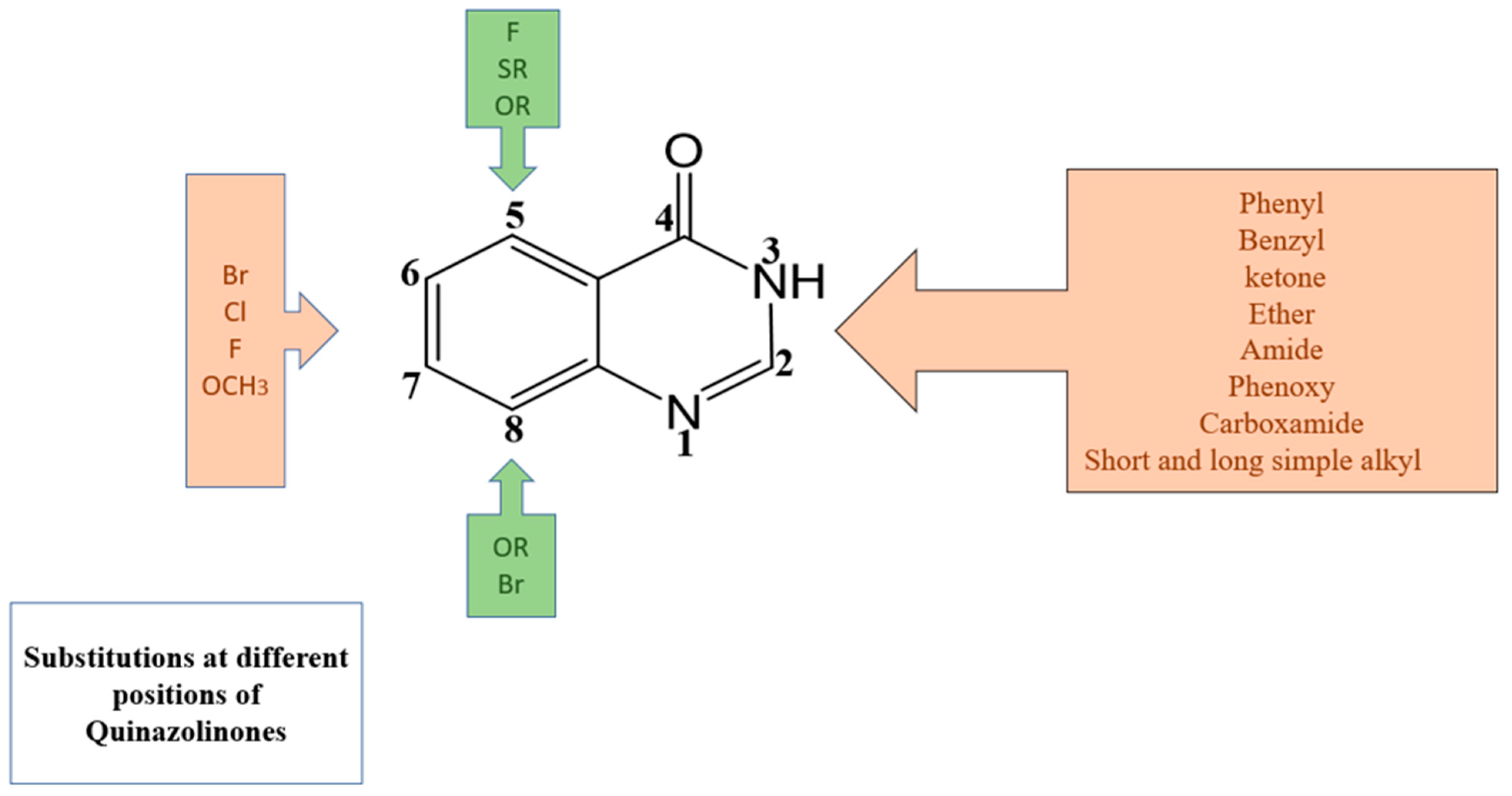 Molecules 28 00978 g008