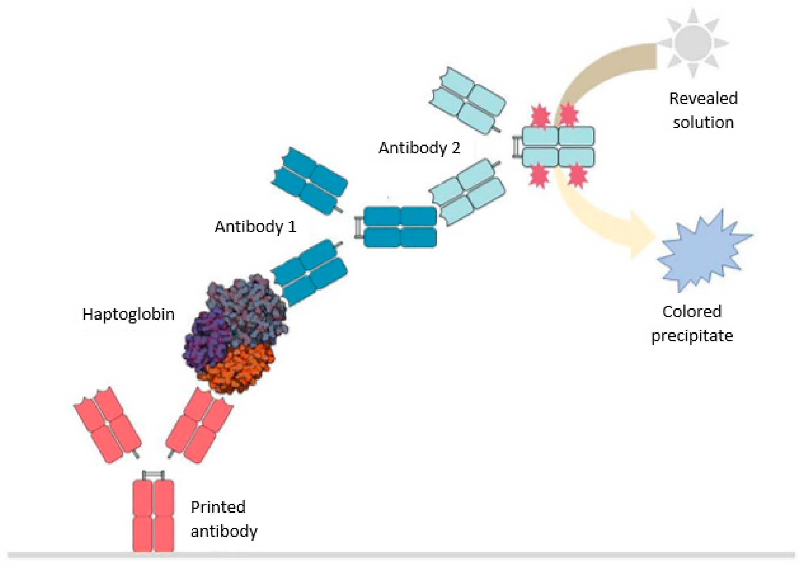Molecules 28 00980 g006