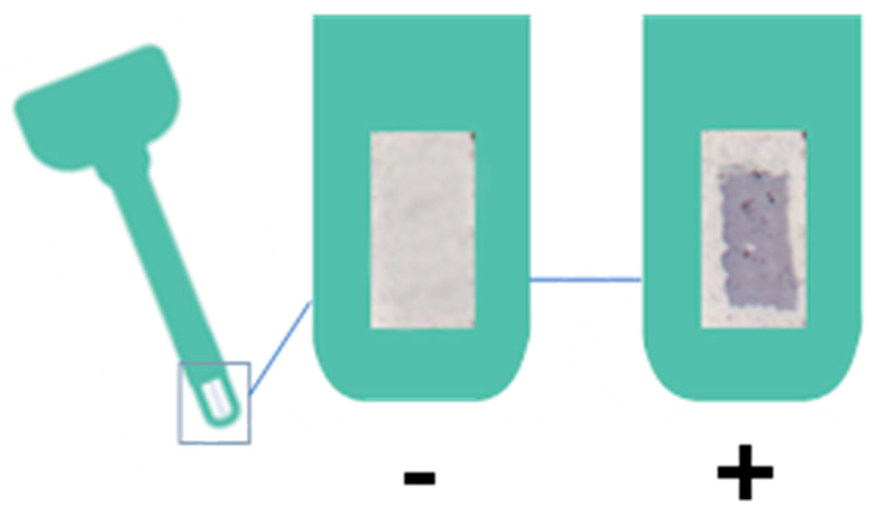 Molecules 28 00980 g007