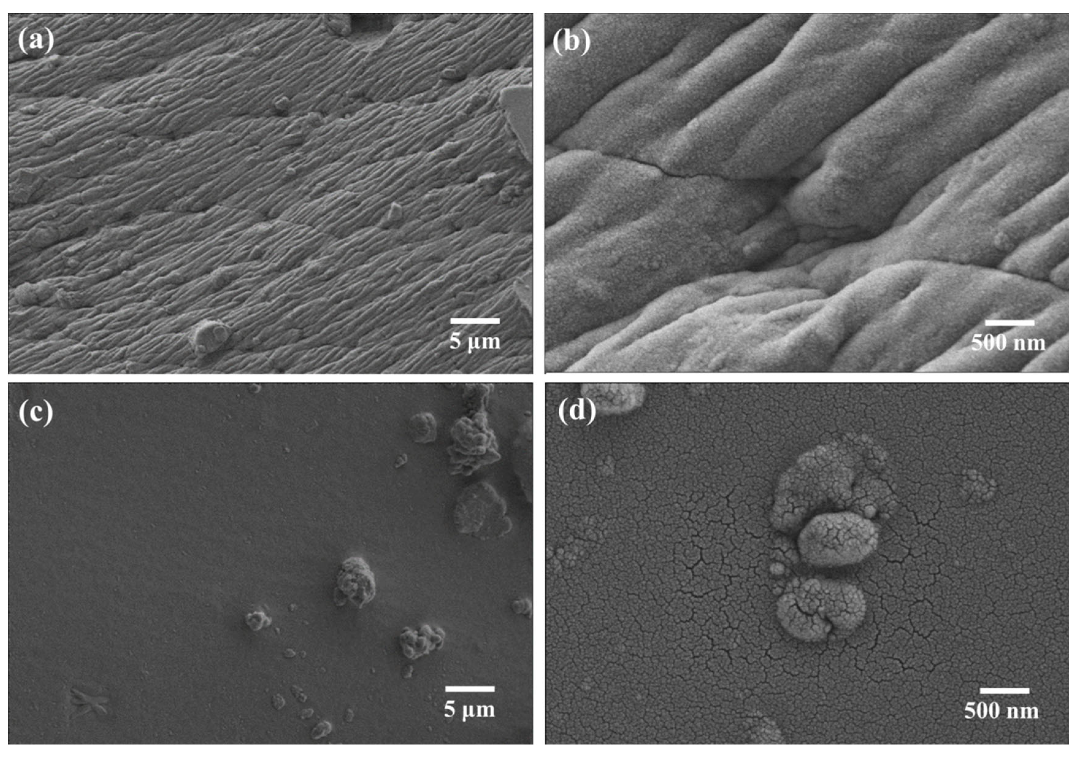Molecules 28 00984 g003