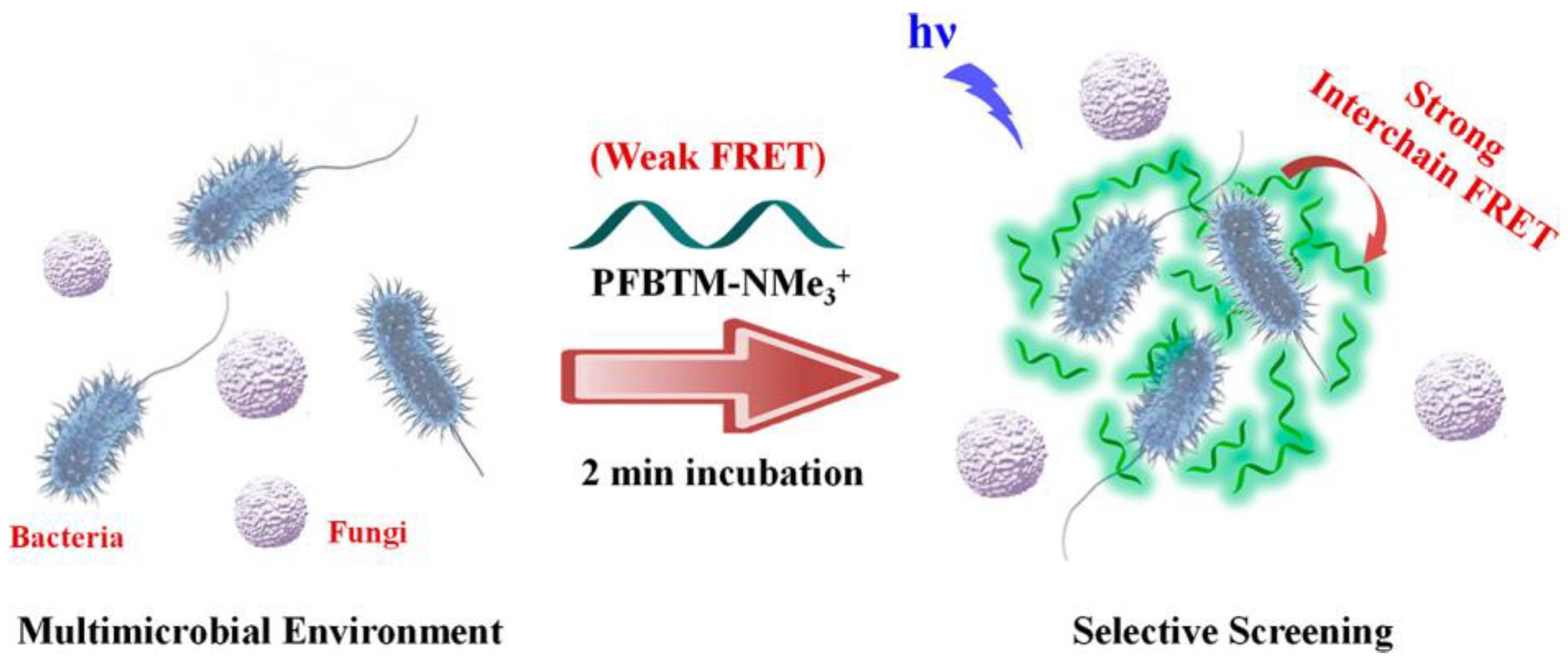 Molecules 28 00985 g001