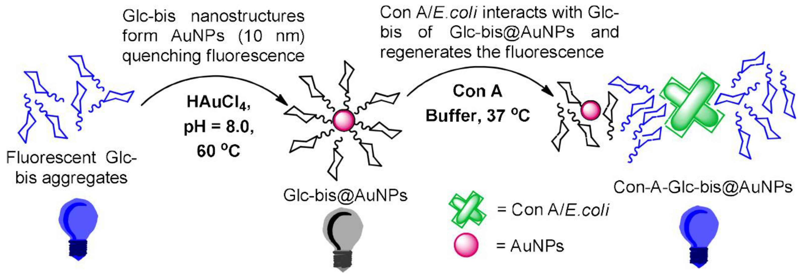 Molecules 28 00985 g002