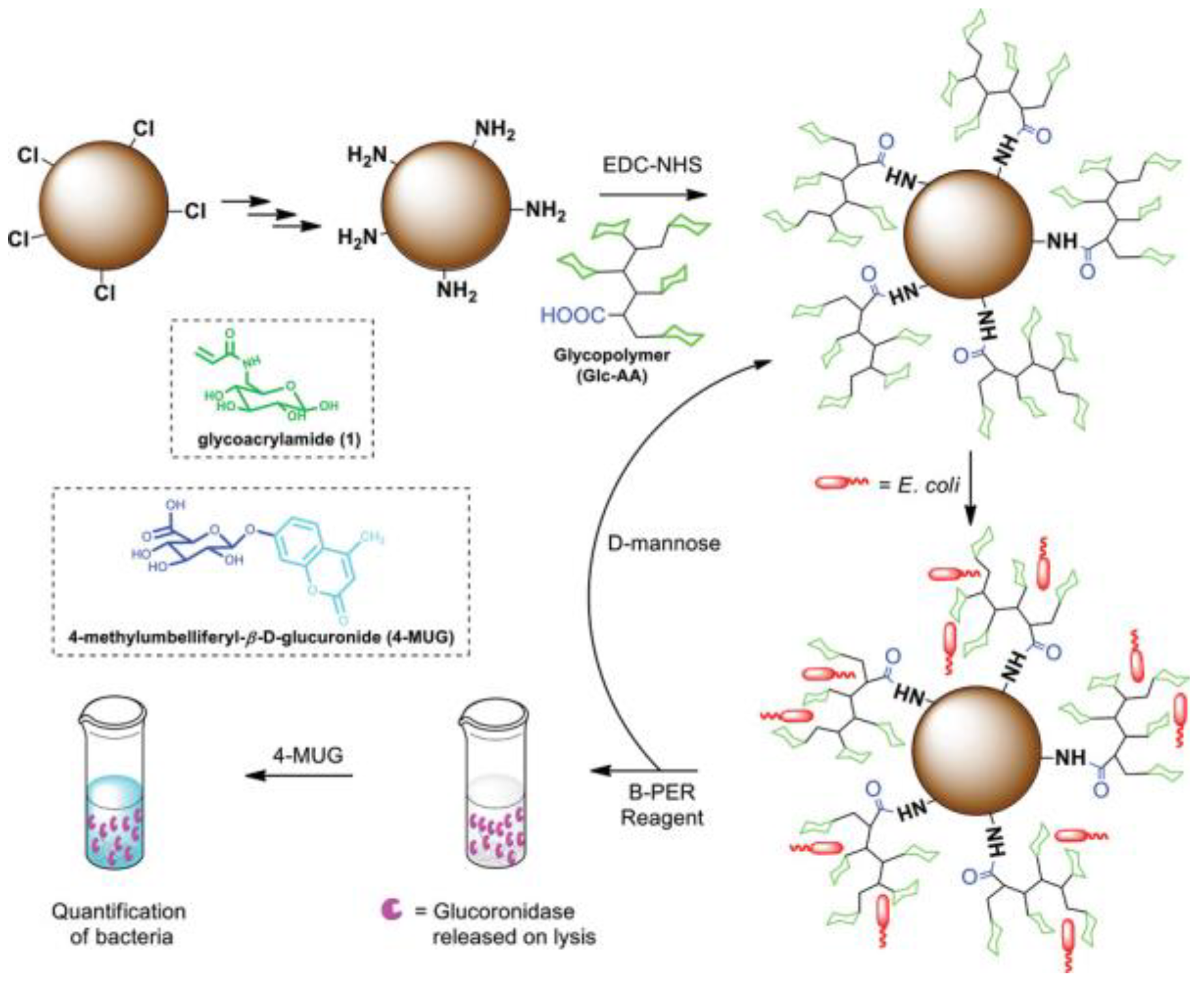 Molecules 28 00985 g003