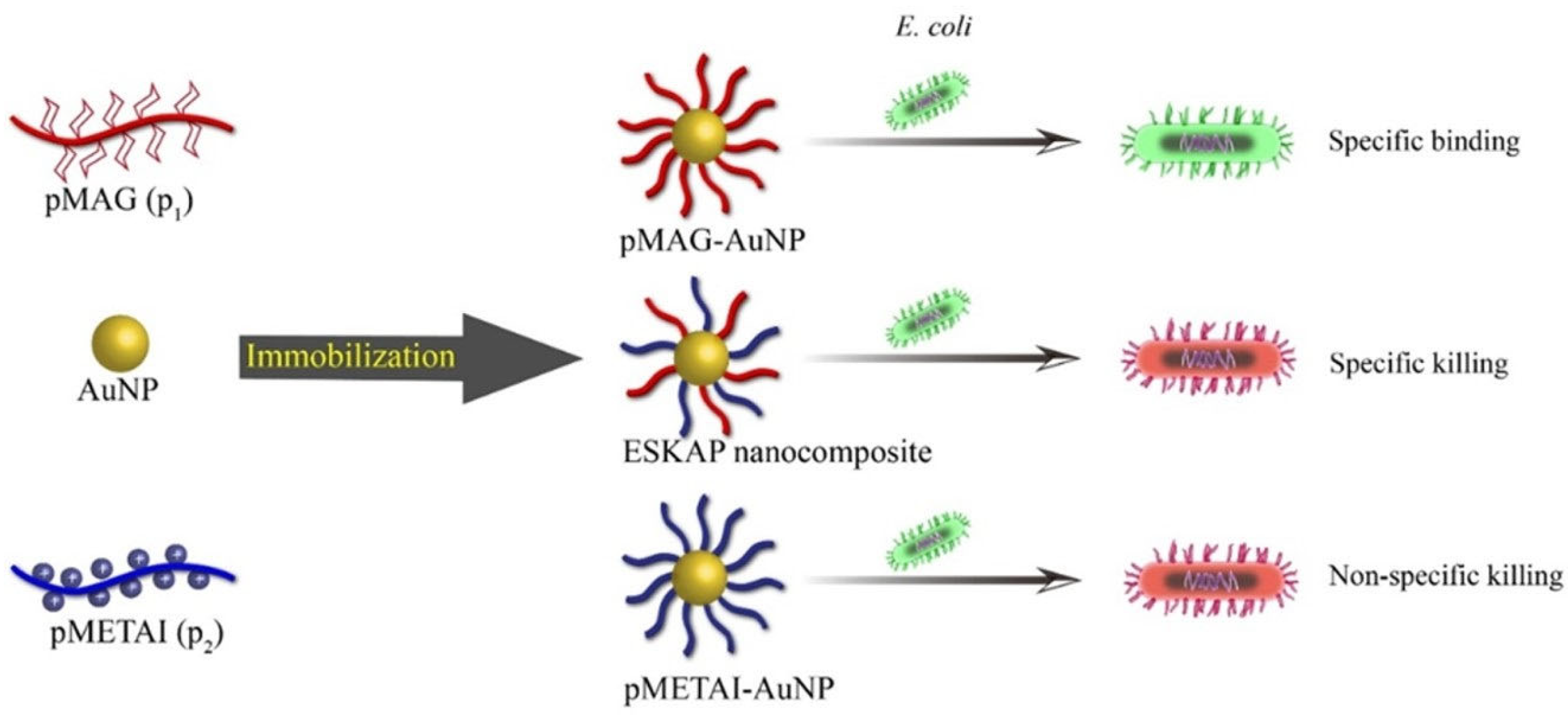 Molecules 28 00985 g004