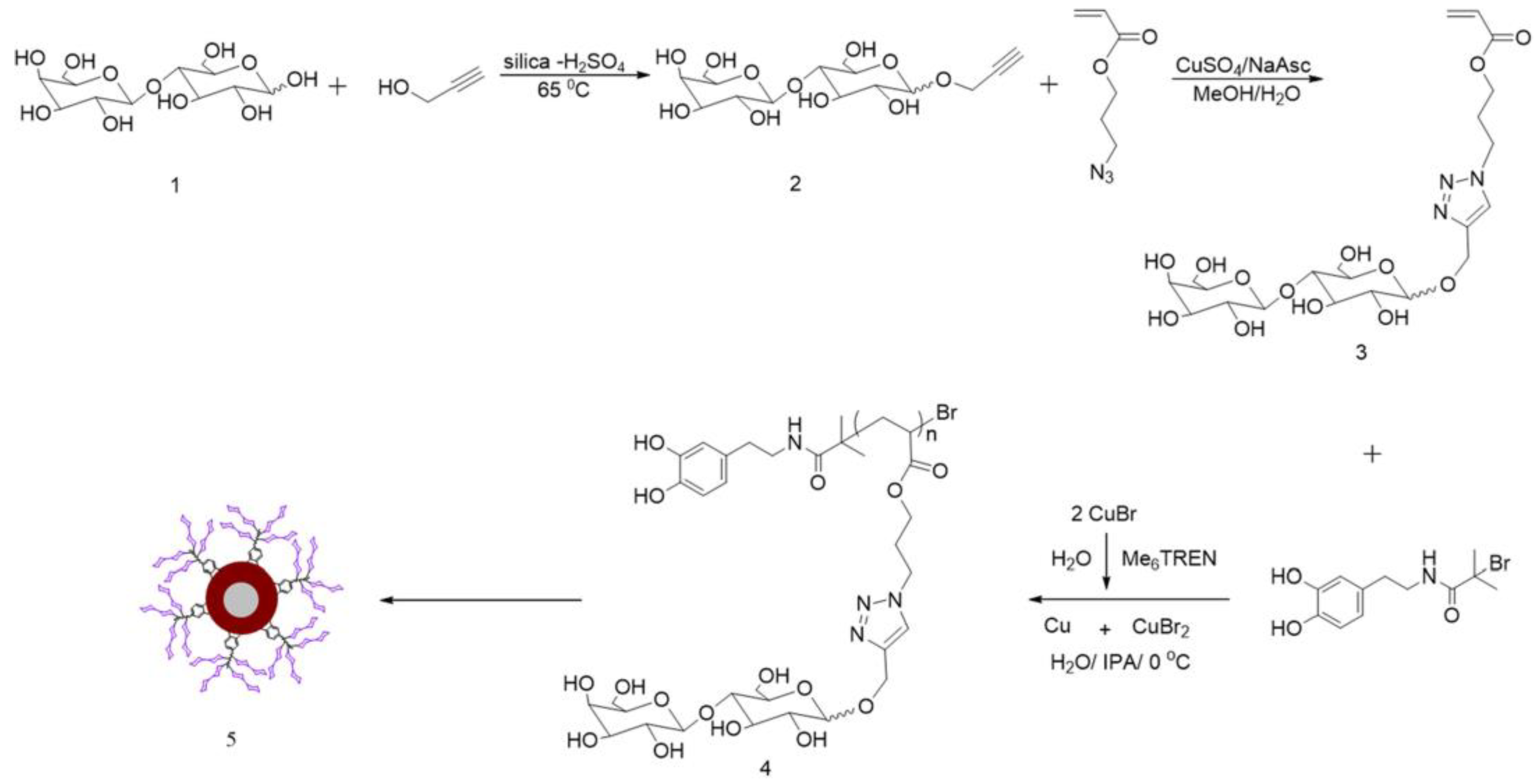 Molecules 28 00985 g006