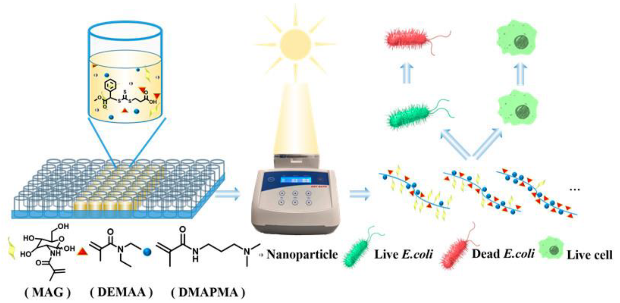 Molecules 28 00985 g007