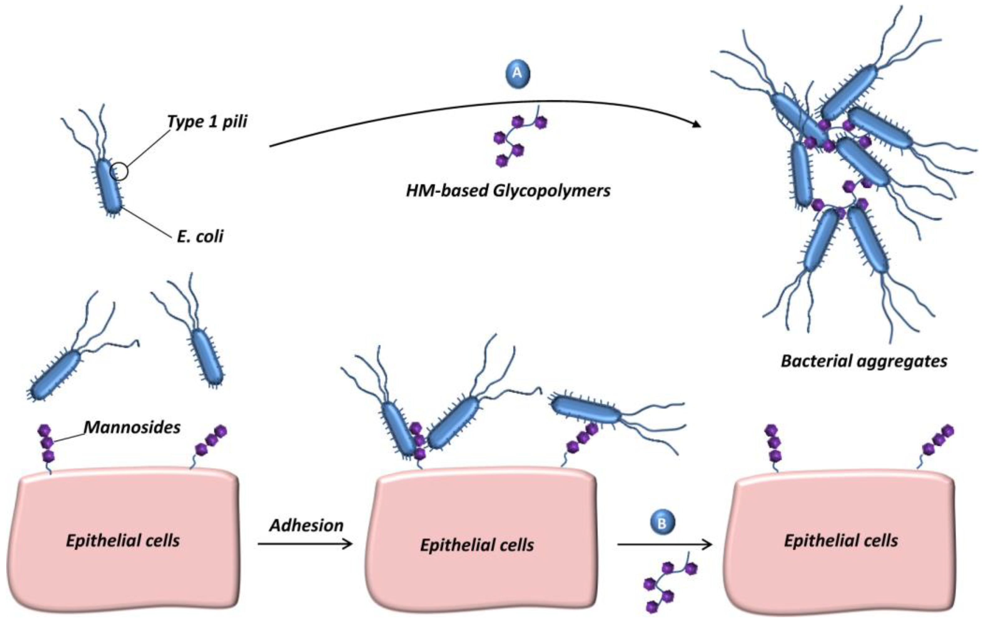 Molecules 28 00985 g008