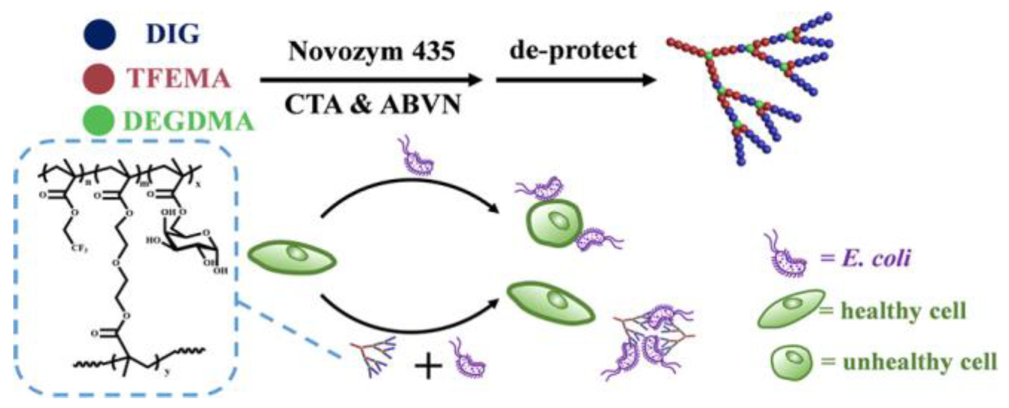 Molecules 28 00985 g009