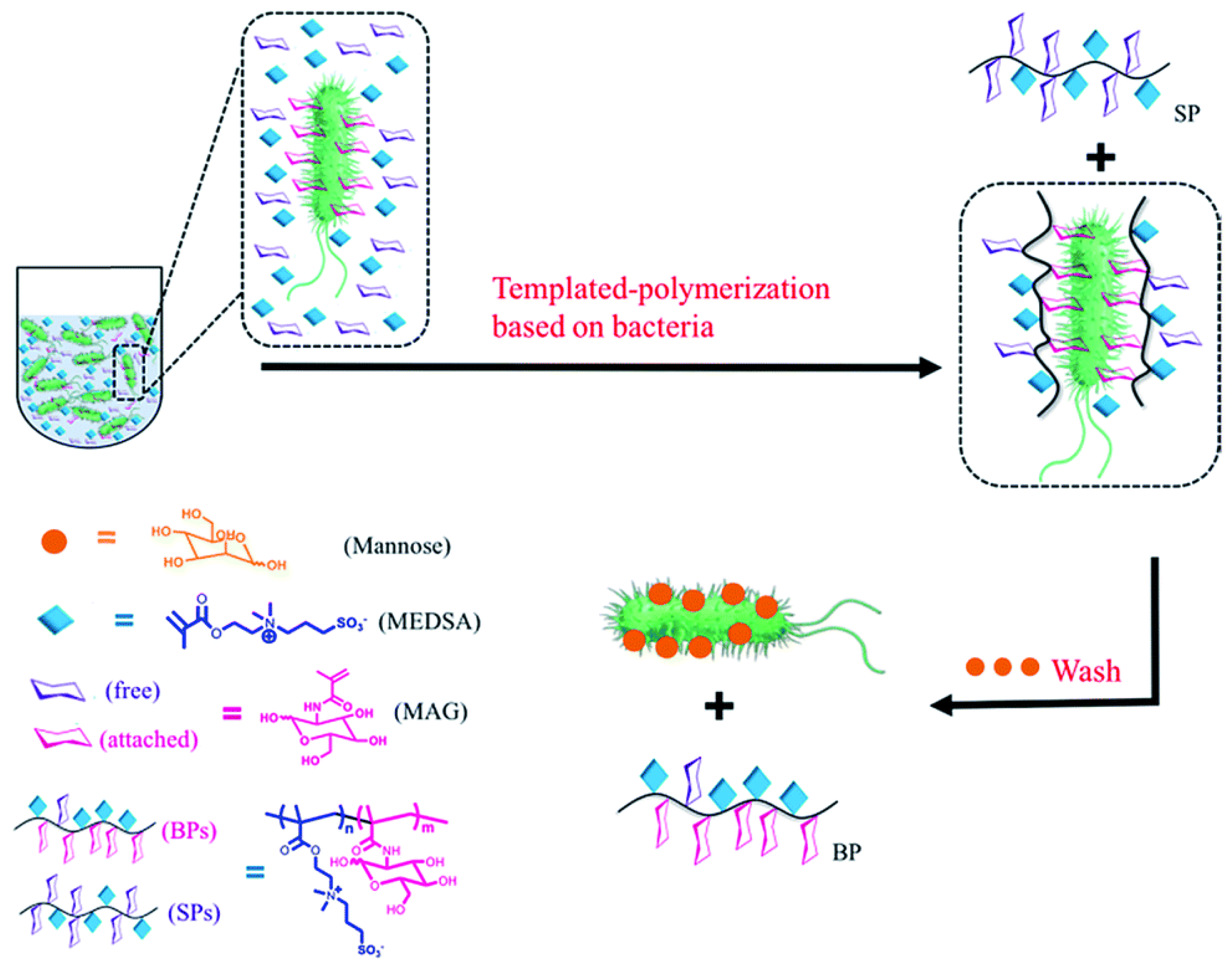 Molecules 28 00985 g010