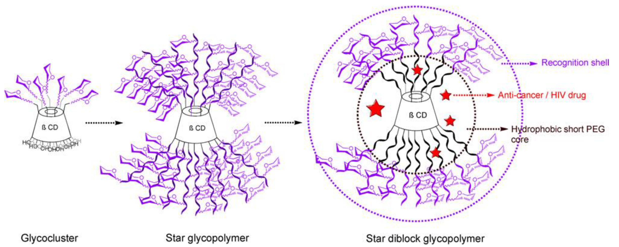 Molecules 28 00985 g012