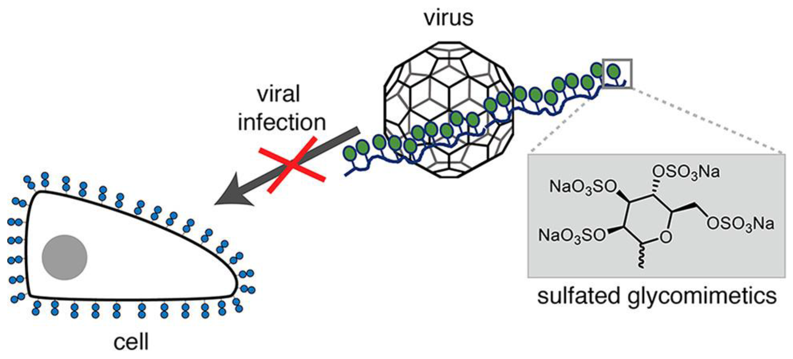 Molecules 28 00985 g014