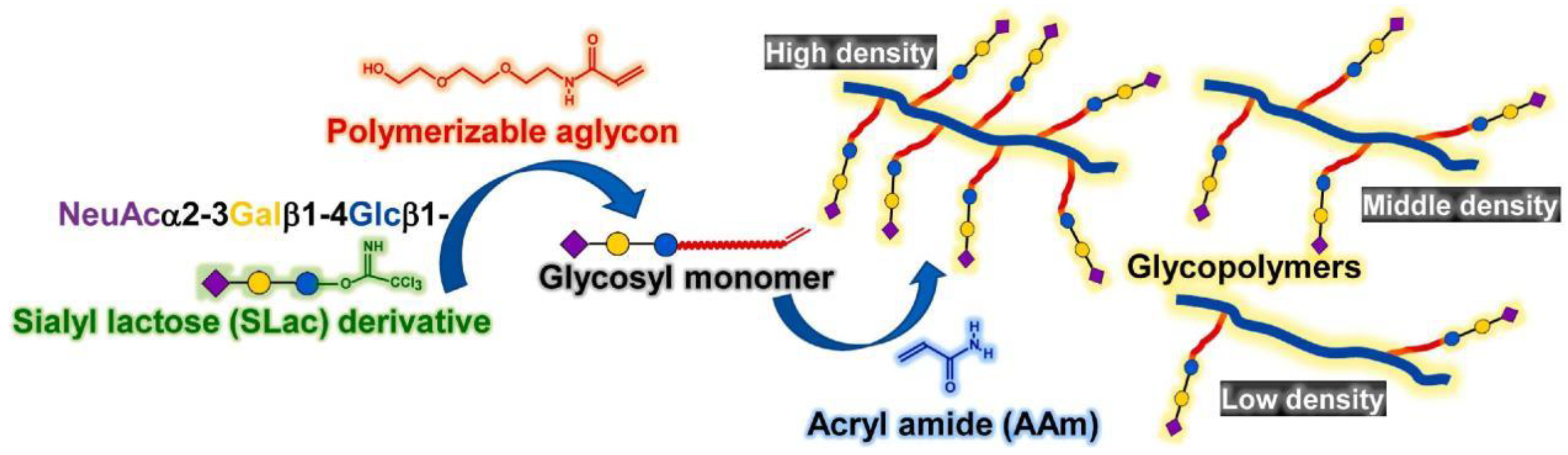 Molecules 28 00985 g016