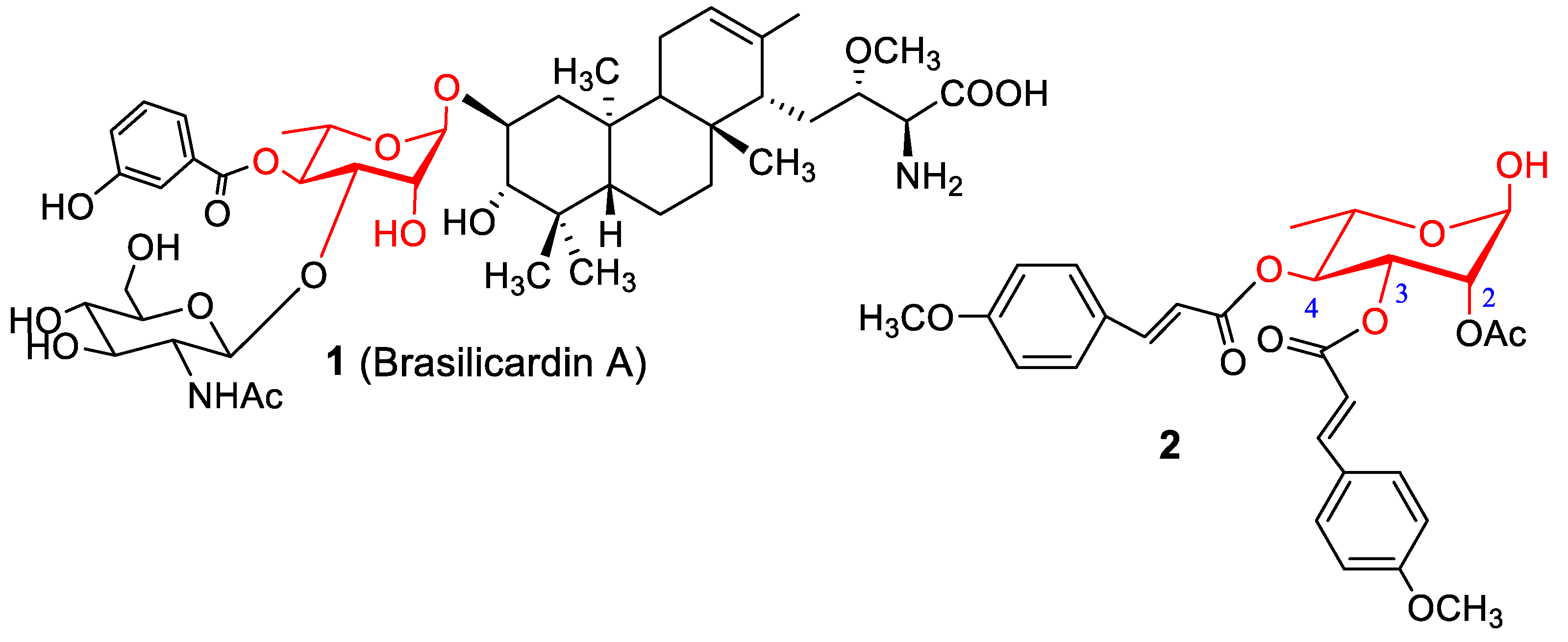 Molecules 28 00986 g001
