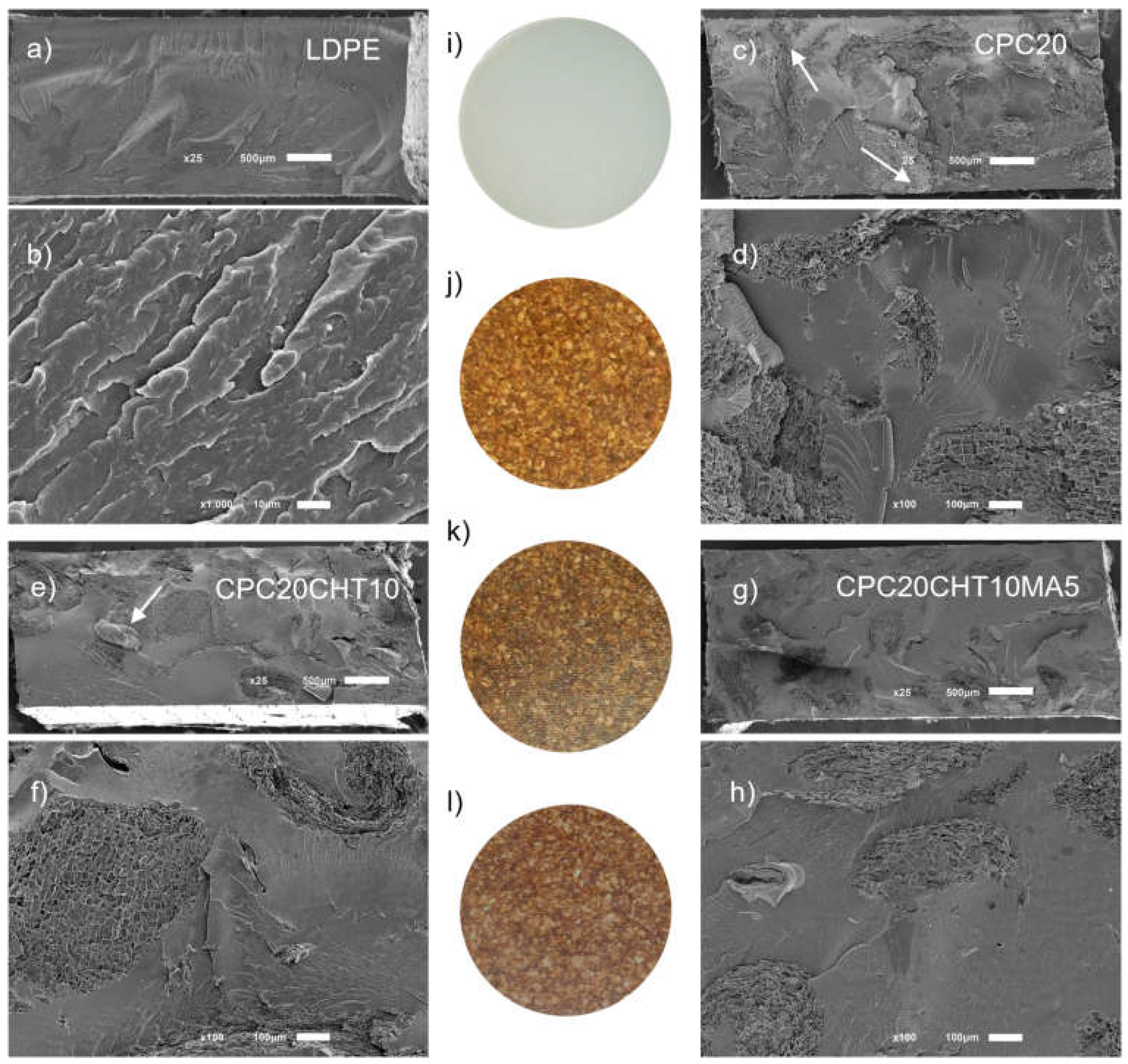 Molecules 28 00990 g006