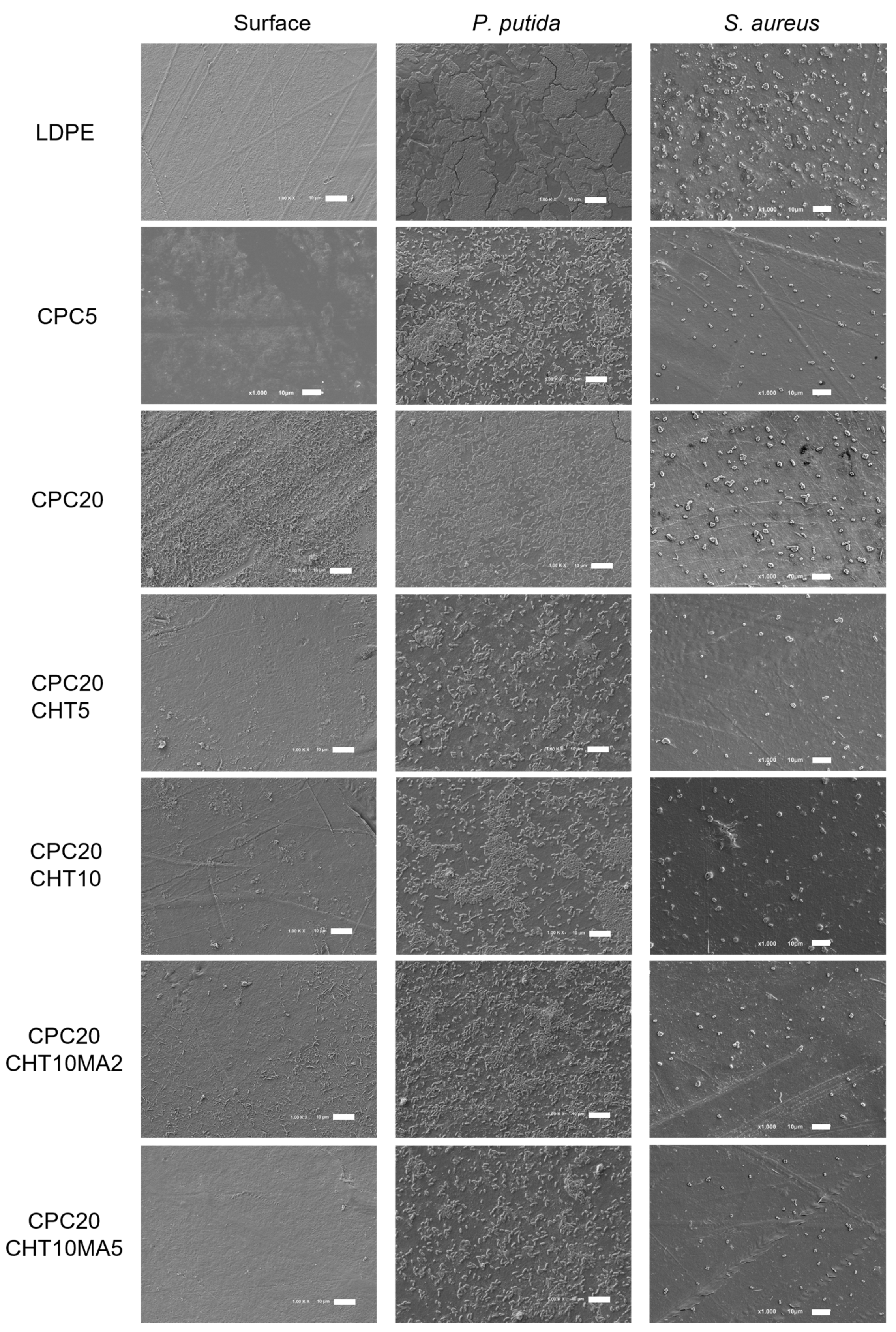 Molecules 28 00990 g008