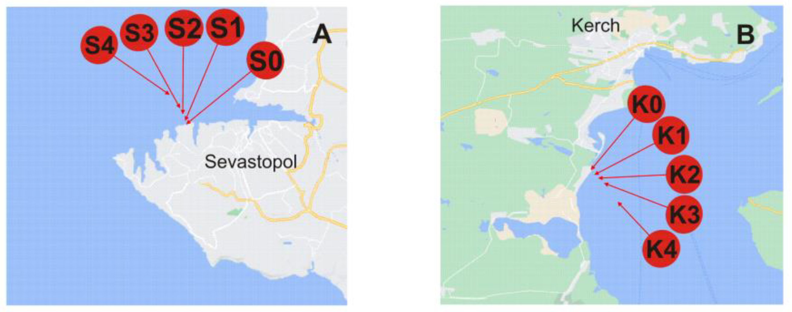 Molecules 28 00994 g003