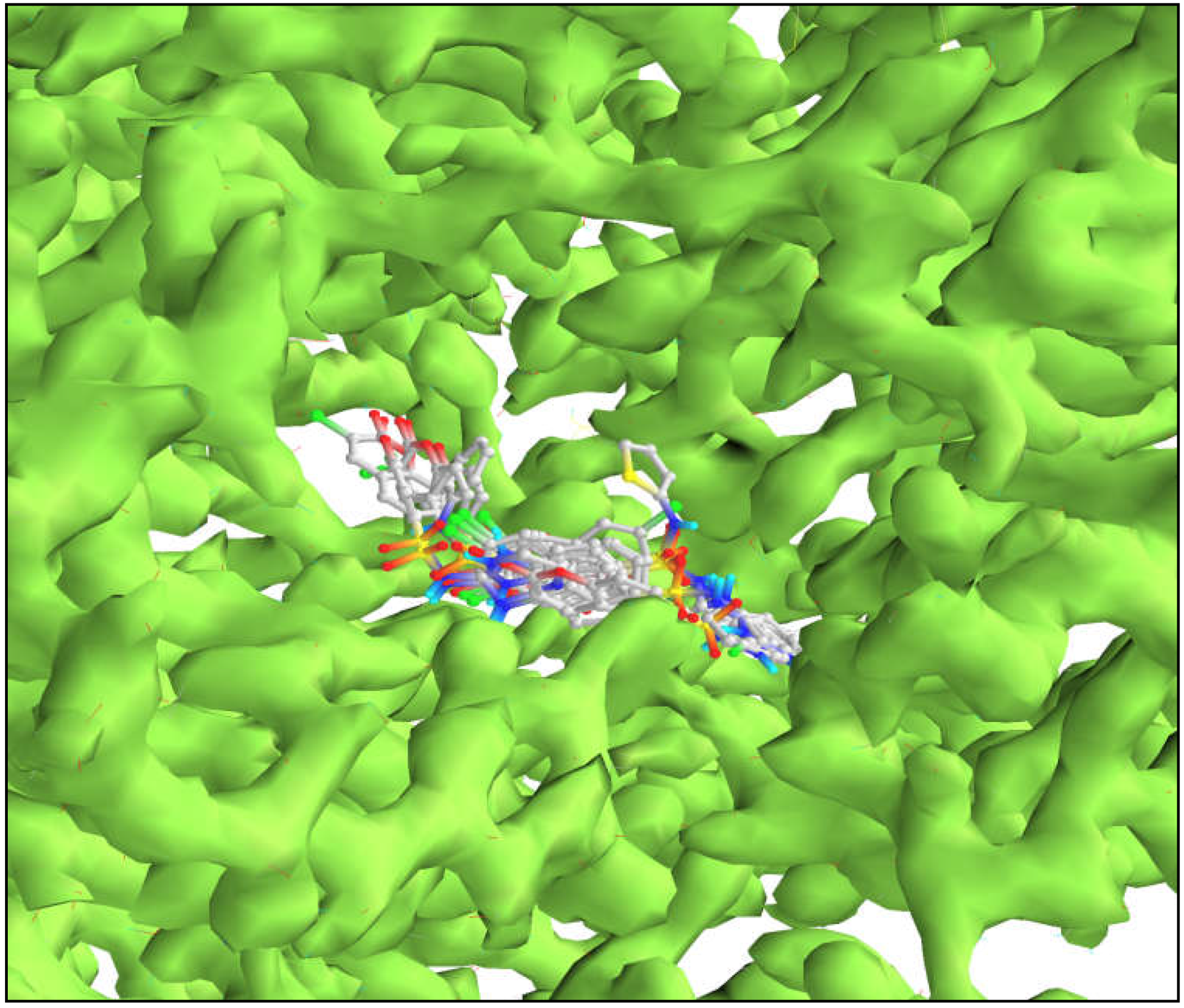 Molecules 28 01004 g005